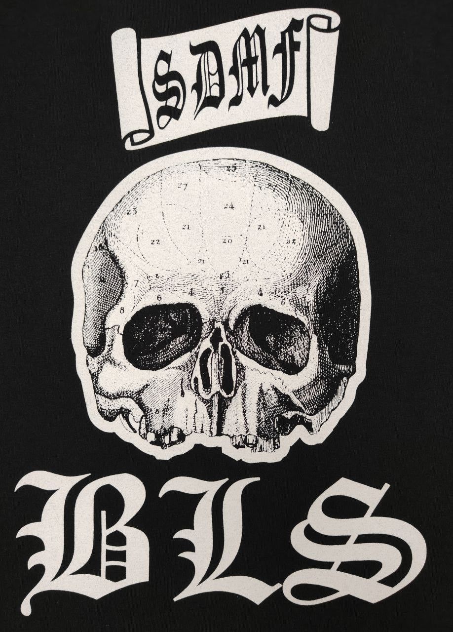 Band Tees Vtg 90s BLS Black label society SDMF Band T Size US L / EU 52-54 / 3 - 3 Thumbnail