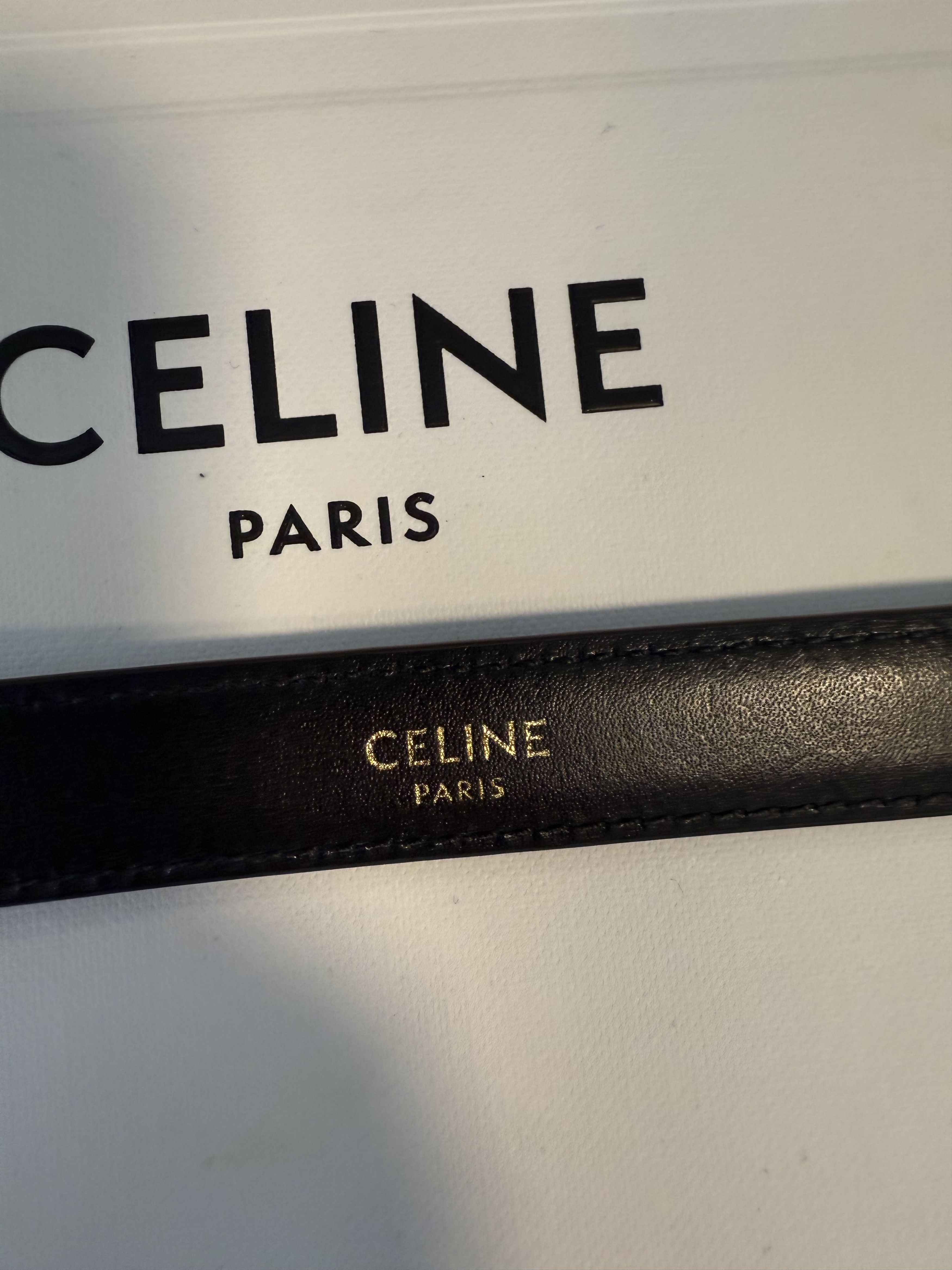 Celine Celine Python Snake Skin Leather Brown Gold Belt - 90 Size ONE SIZE - 4 Thumbnail