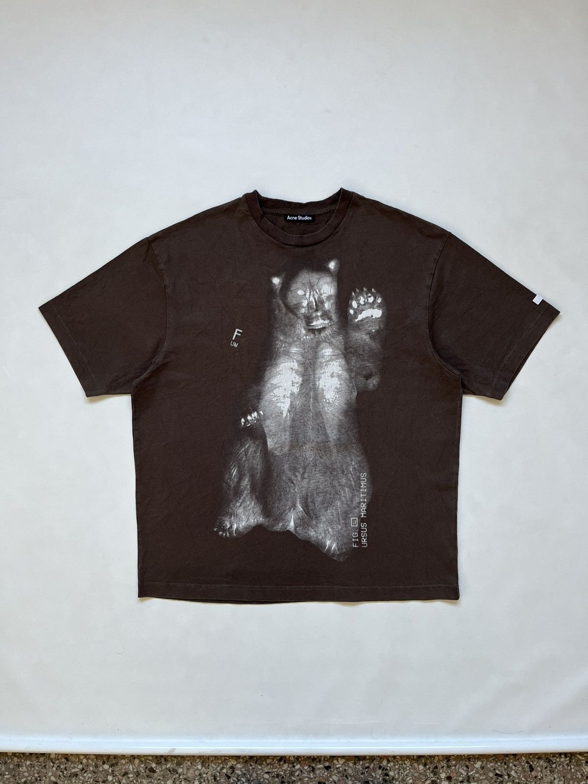 Acne Studios Acne Studios "Ursus Maritimus" Bear Graphic Tee - Dark Brown Size US L / EU 52-54 / 3 - 1 Thumbnail