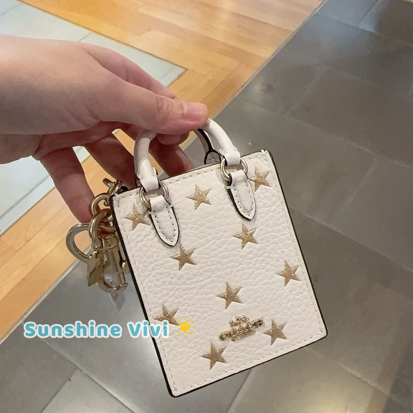 NWT Coach North/south Mini Tote Bag Charm Star Print Cx074 in Silver, Women's