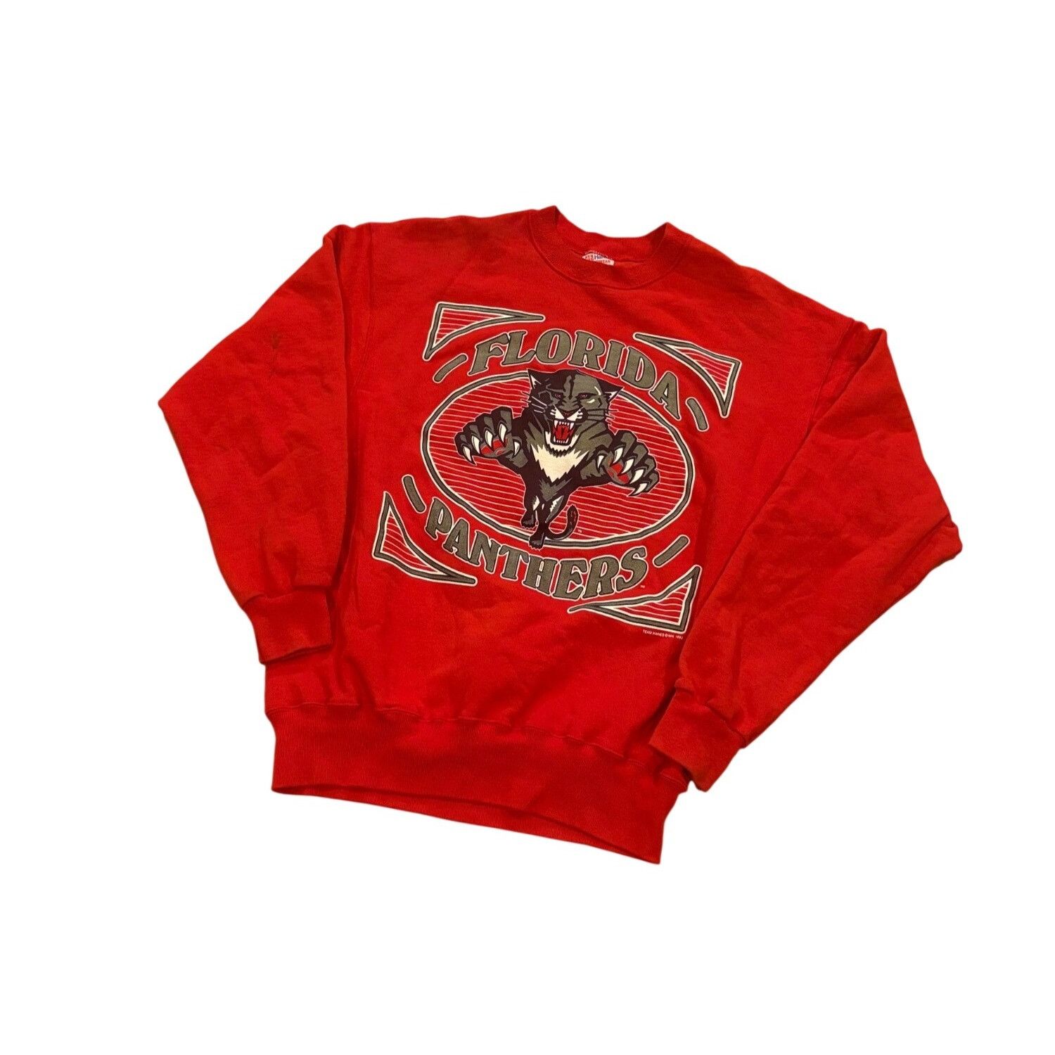 Hanes Vintage 1993 Florida Panthers NHL Hockey Pullover Crewneck S Size US XL / EU 56 / 4 - 4 Thumbnail