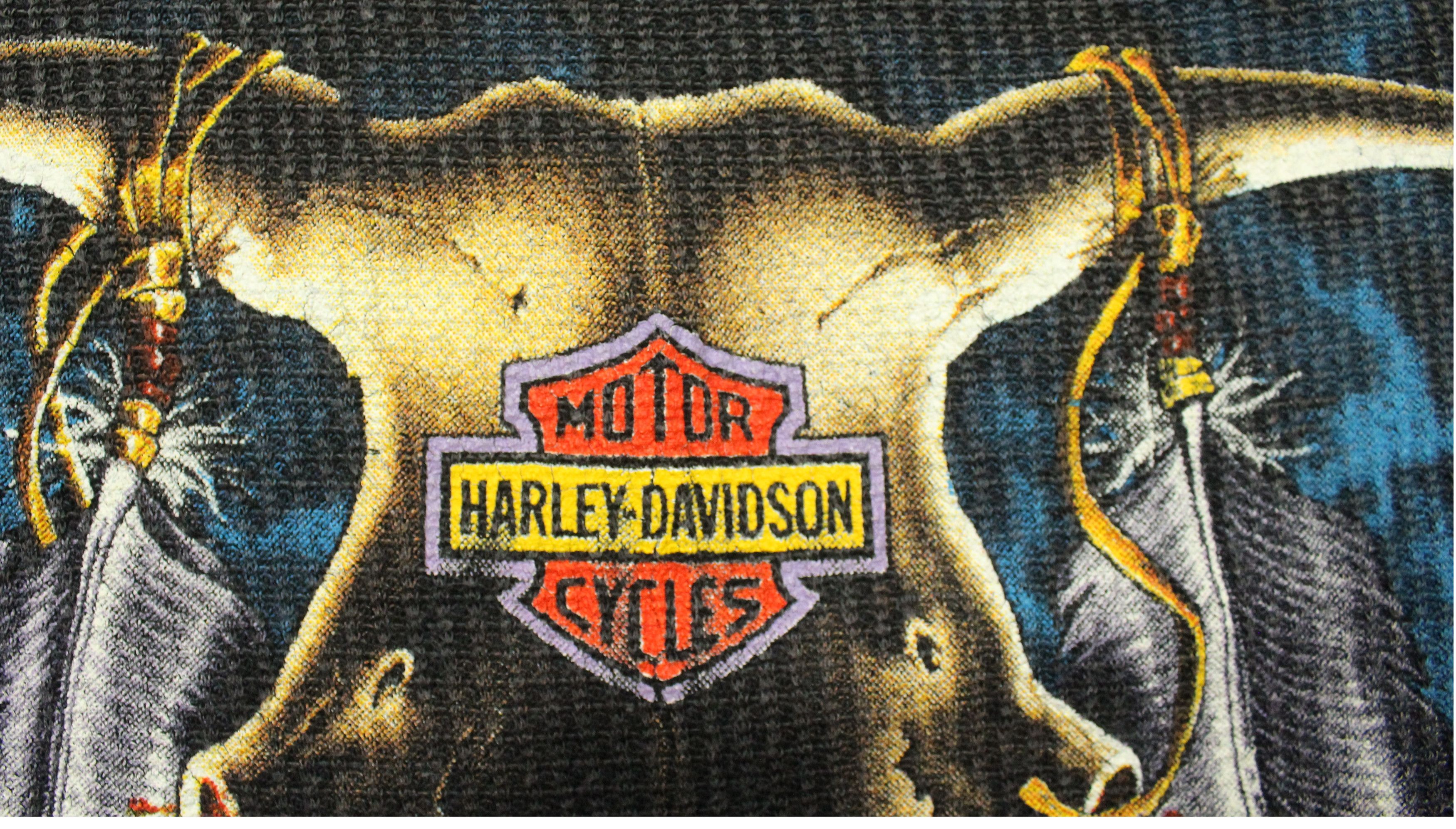 Harley Davidson Vintage HARLEY DAVIDSON Shirt HOLOUBEK Flame Thermal Bodyfit Size US M / EU 48-50 / 2 - 6 Thumbnail