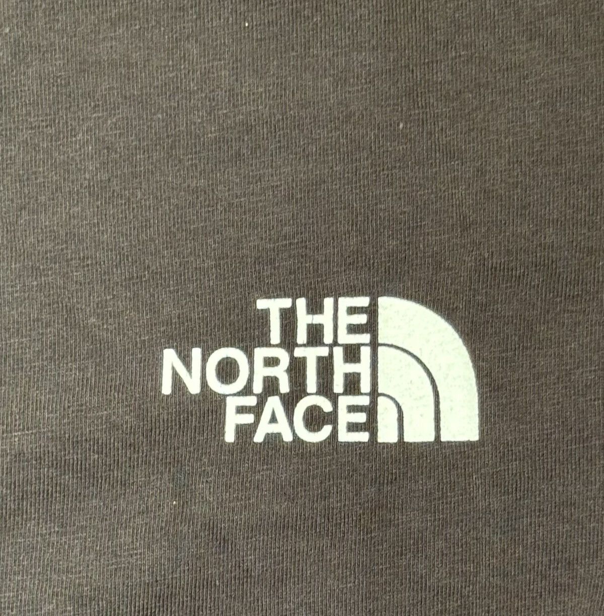 The North Face The North Face t-shirt Size US M / EU 48-50 / 2 - 5 Thumbnail