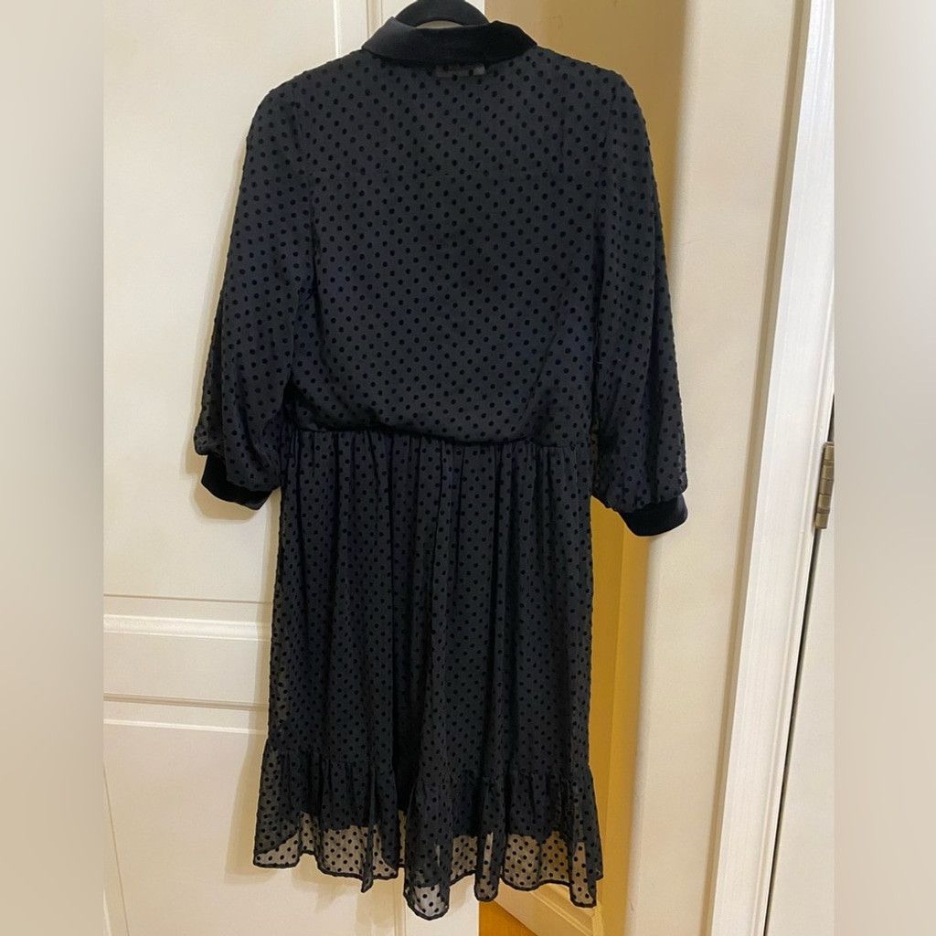 Zara ZARA Swiss Dot Sheer dress Size XS / US 0-2 / IT 36-38 - 3 Thumbnail