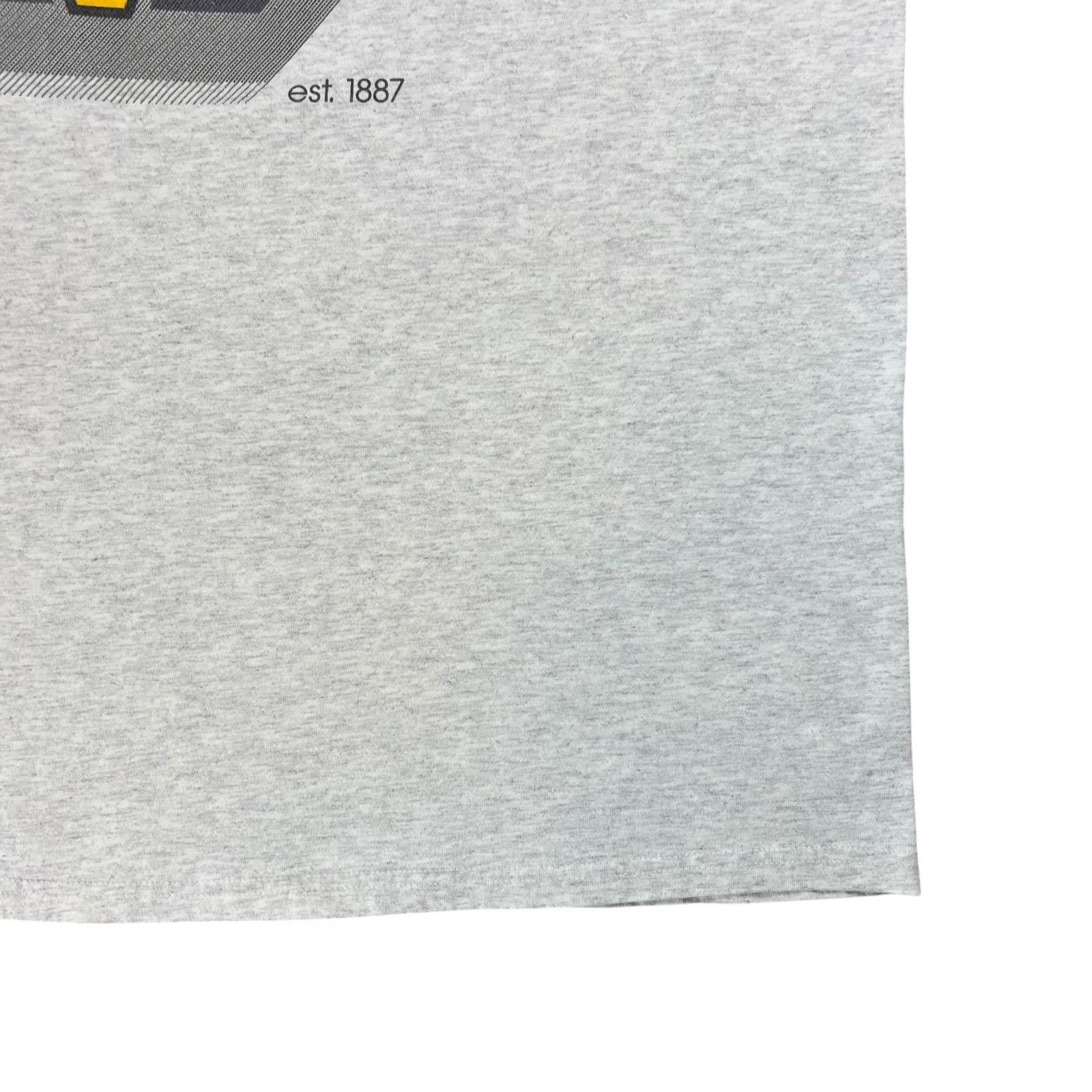Hanes × MLB × Vintage Vintage Y2K Hanes Pittsburgh Pirates MLB tee (XL) Size US XL / EU 56 / 4 - 3 Thumbnail