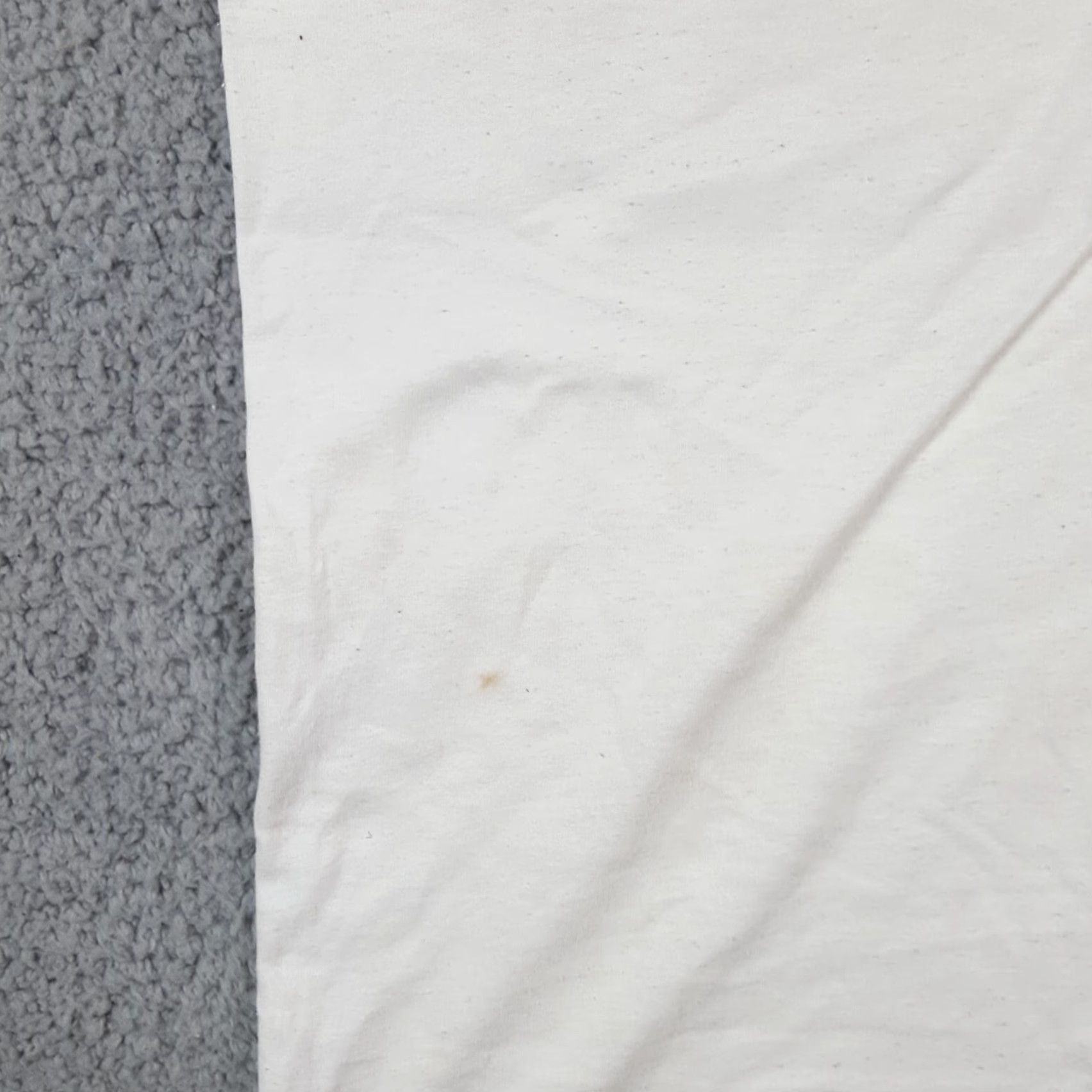 Fruit Of The Loom Vintage 90s Illinois Horse Farm Autumn Fall Leaves Size XL Y2K Animal T Shirt Size US XL / EU 56 / 4 - 5 Thumbnail
