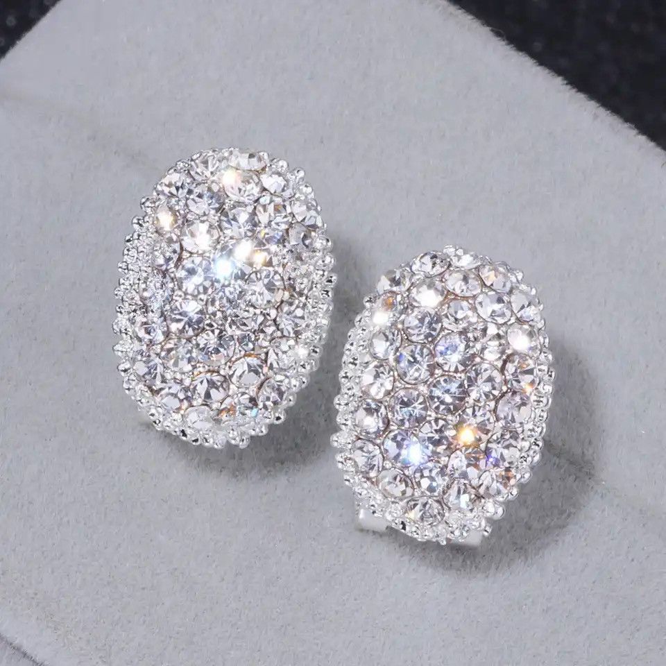 Diamond Earrings x Jewelry Aaa Cubic Zirconia Stone Stud Earring in Silver, Men's