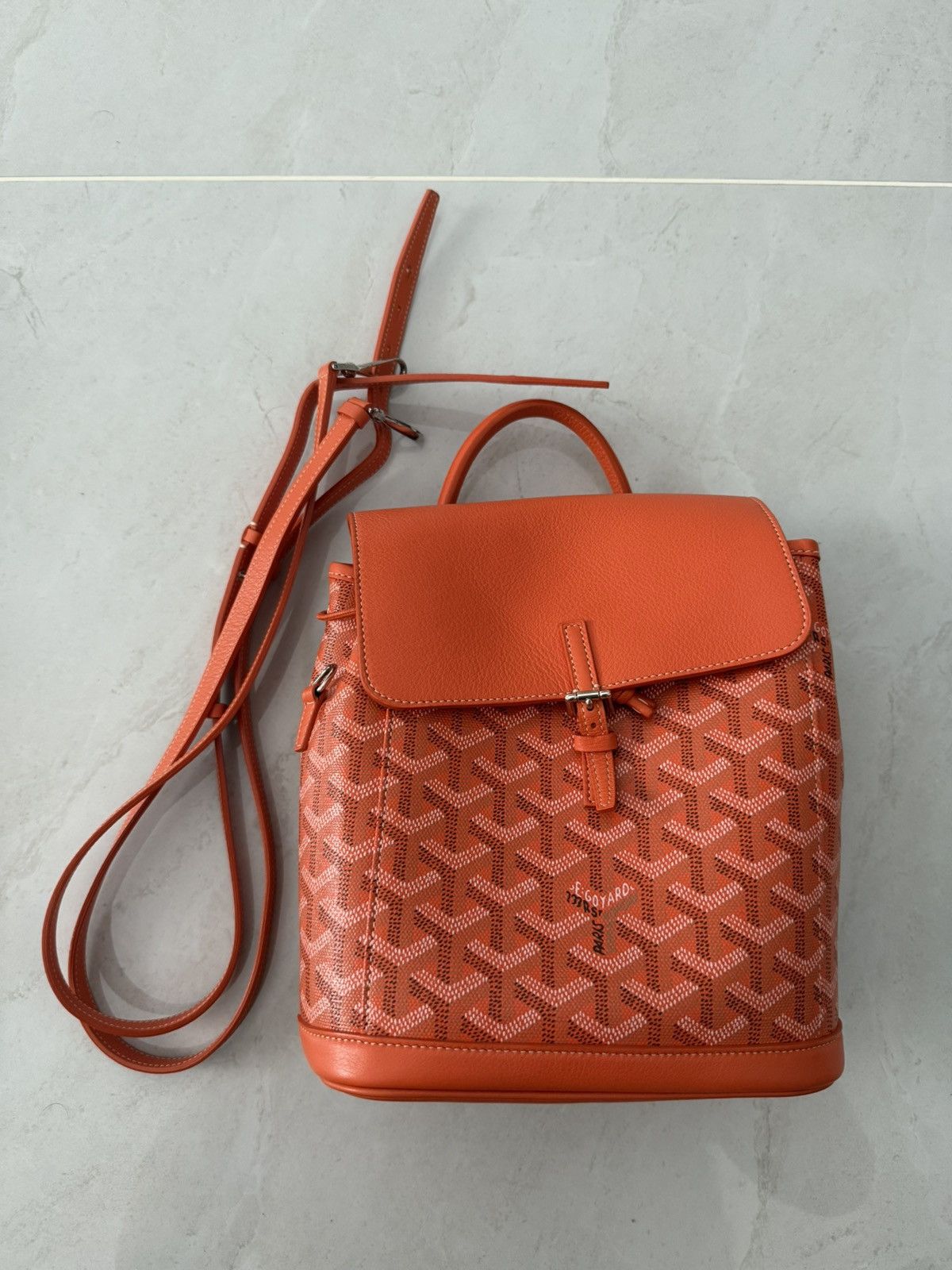 Goyard Goyard Limited Edition Orange 🍊 Alpin Mini Backpack Size ONE SIZE - 5 Thumbnail