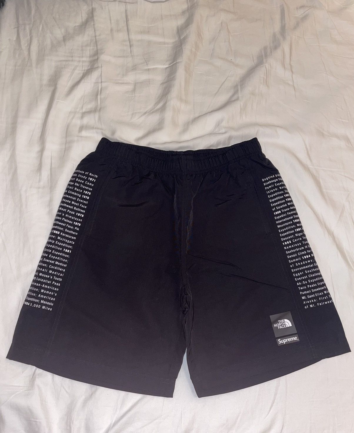 image of Supreme X Northface Shorts in Black, Men's (Size 30)