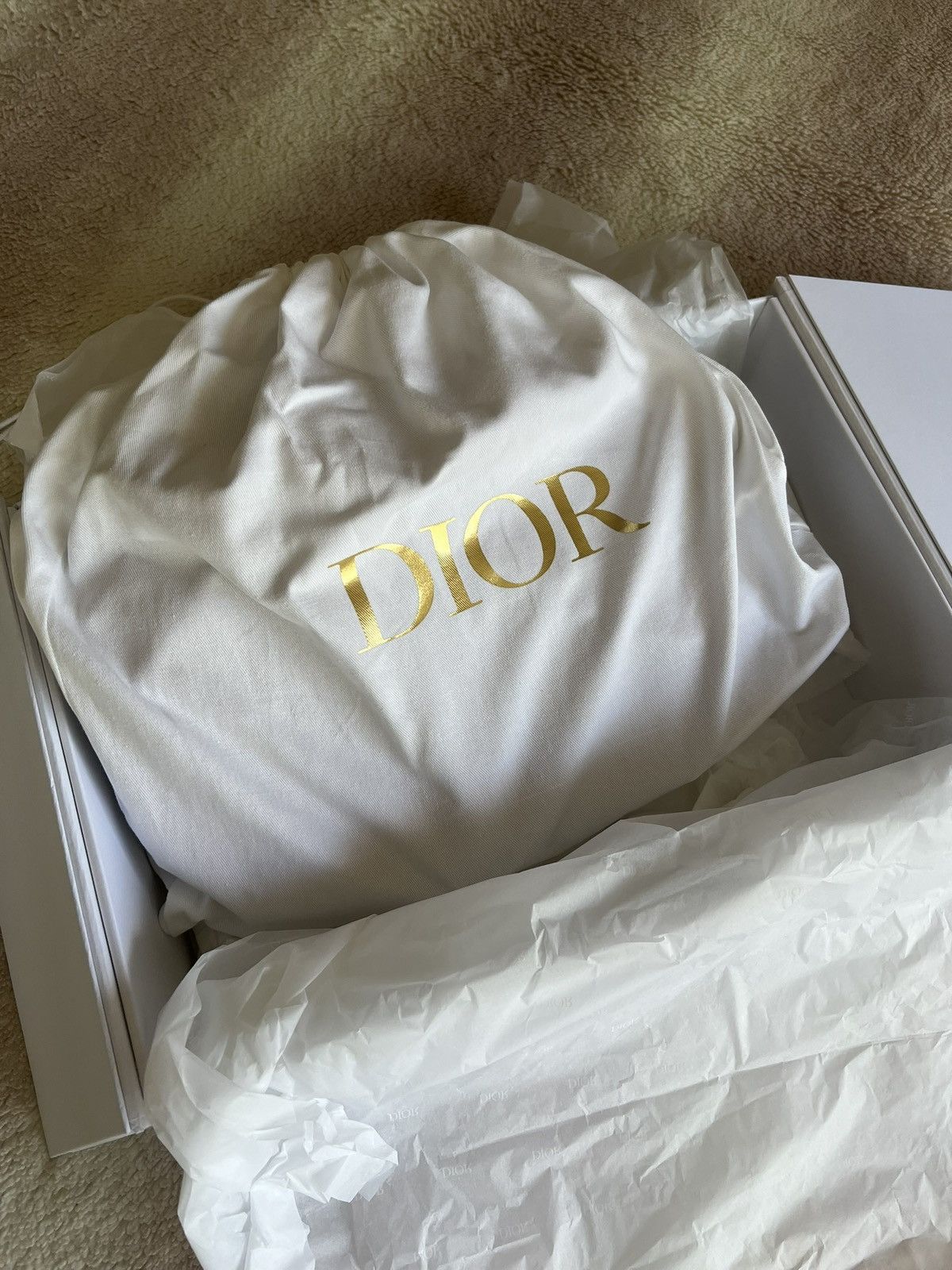 Dior Dior saddle bag Size ONE SIZE - 16 Thumbnail