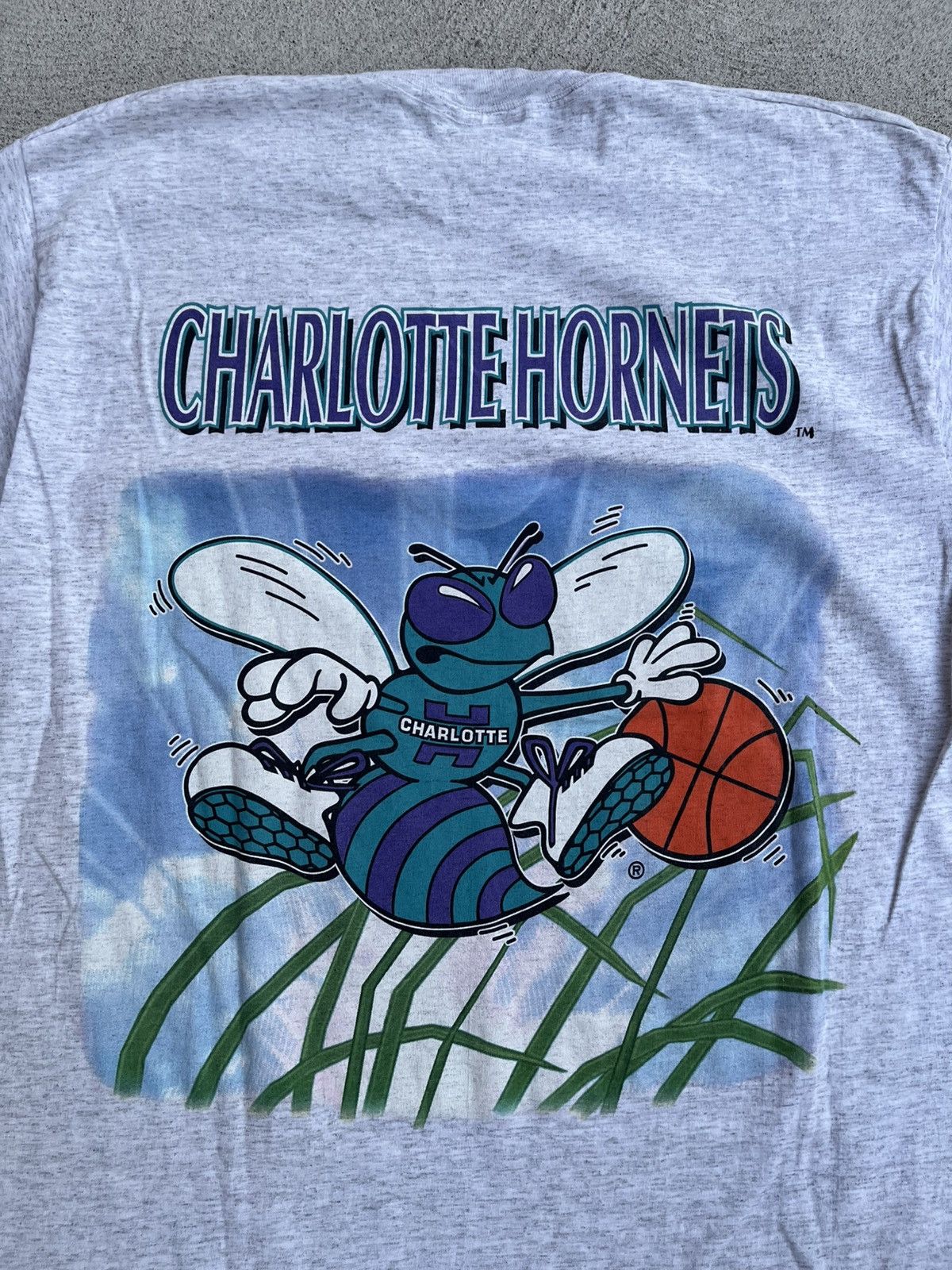 NBA × Salem Sportswear × Vintage Super Rare 90s Charlotte Hornets tee Size US XL / EU 56 / 4 - 4 Thumbnail