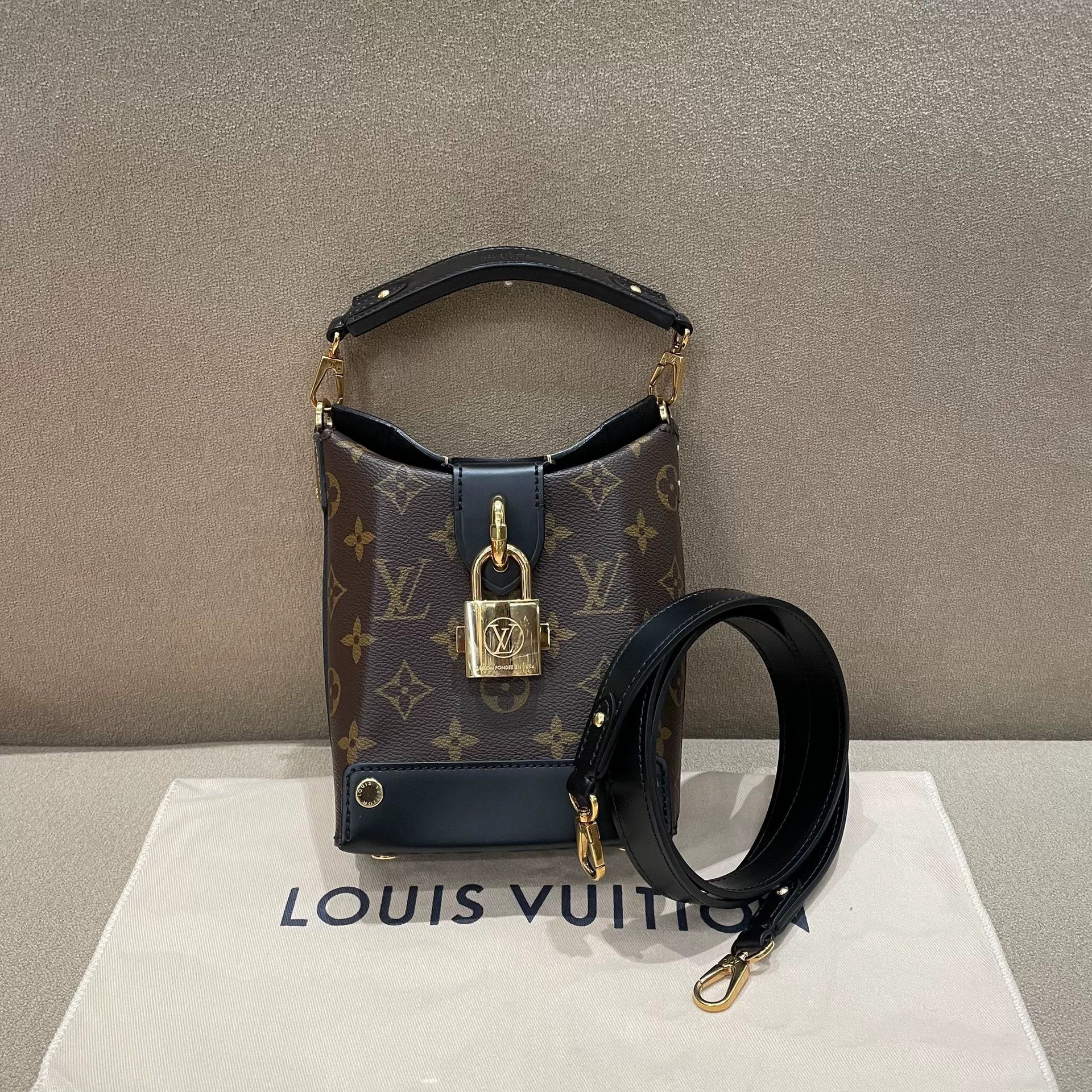 Louis Vuitton Pre-loved Bag Very good condition Size ONE SIZE - 1 Thumbnail