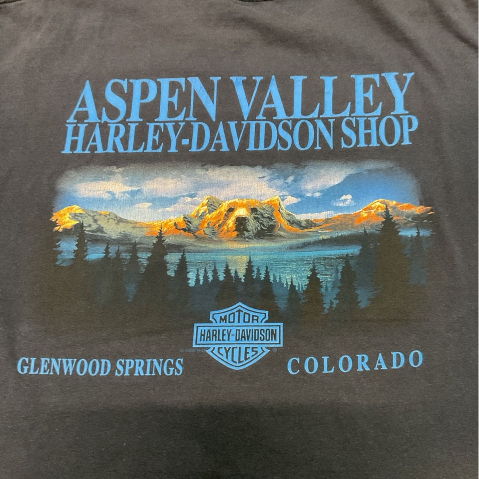 Harley Davidson Vintage 1994 Harley Davidson Fat Boy T-Shirt Size US L / EU 52-54 / 3 - 5 Thumbnail