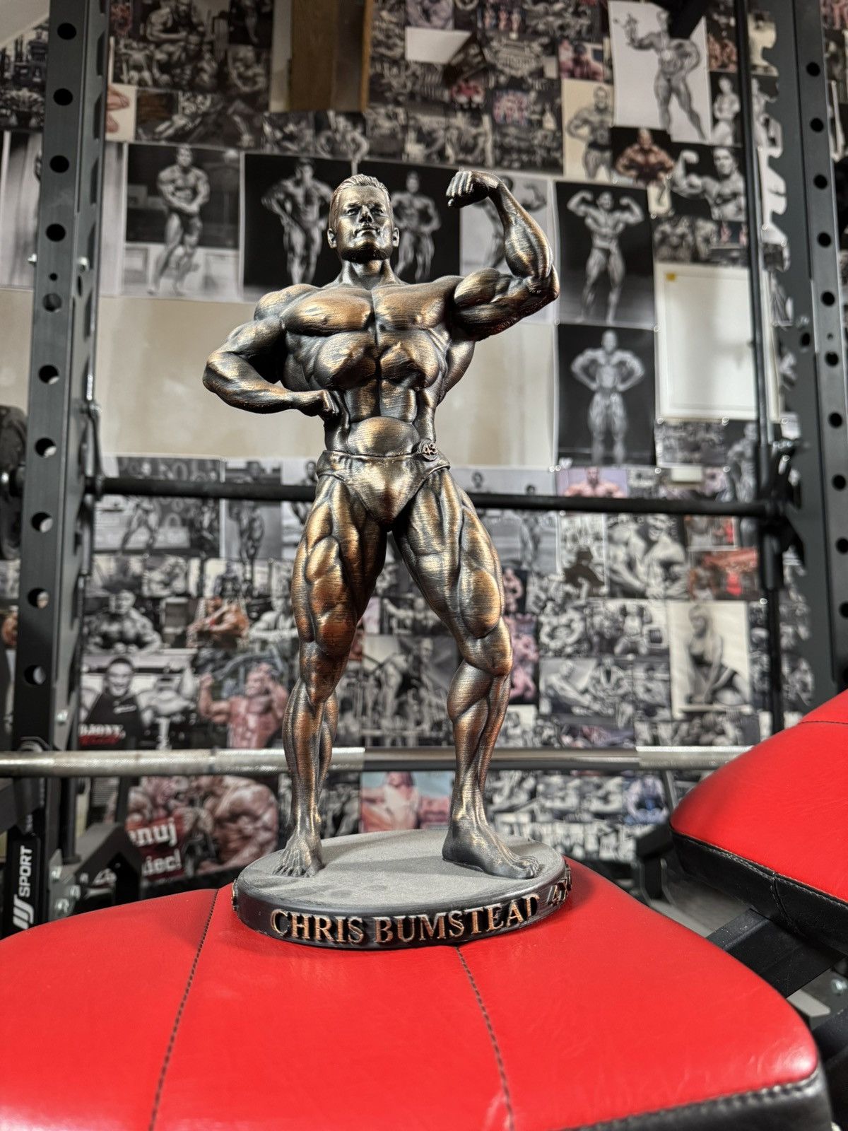 Other Gym statue Chris Bumstead Mr Olympia Bodybuilding 37cm Size ONE SIZE - 1 Thumbnail