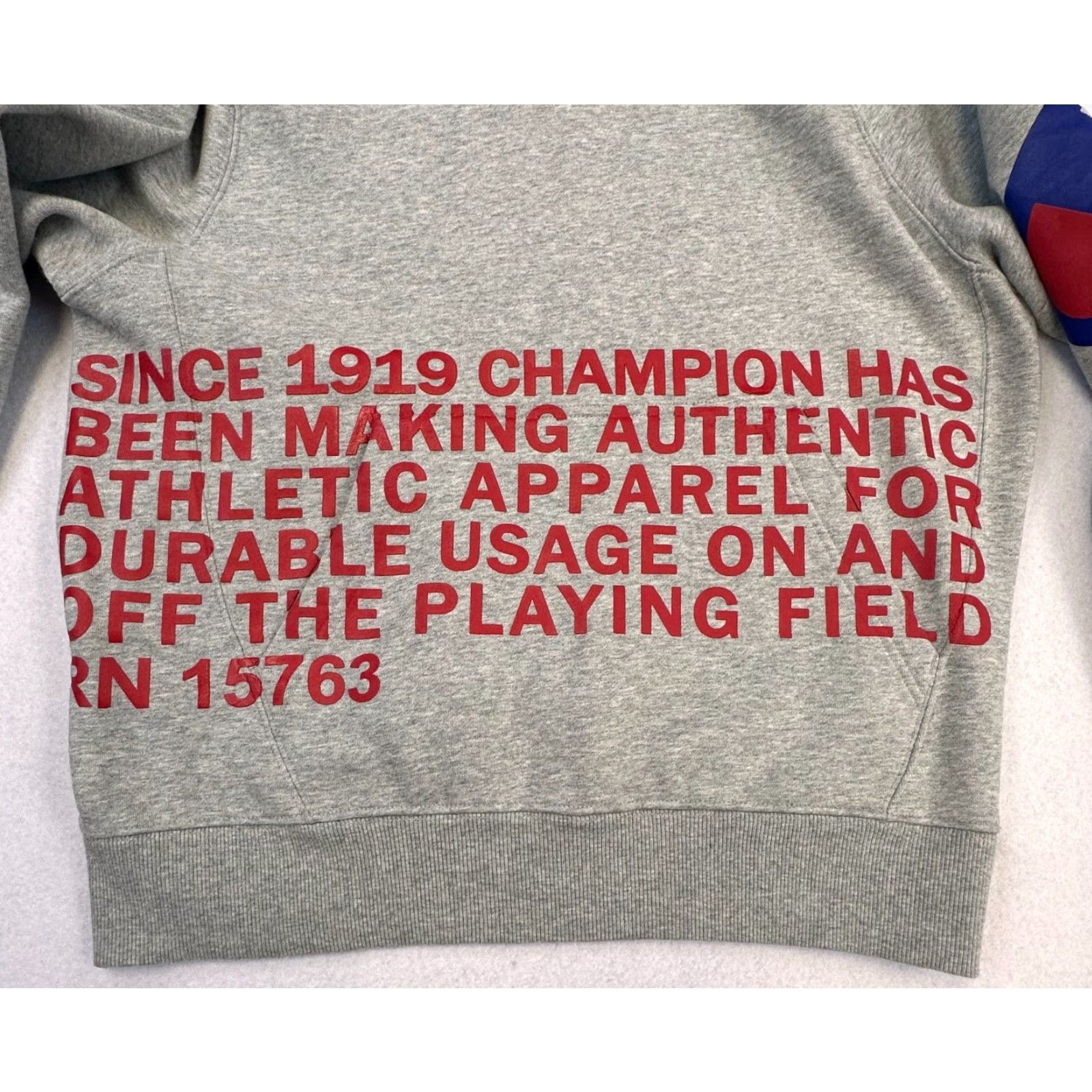 Champion Champion Hoodie Mens Medium Promo Behind The Brand Spell Out Heavy Size US M / EU 48-50 / 2 - 4 Thumbnail