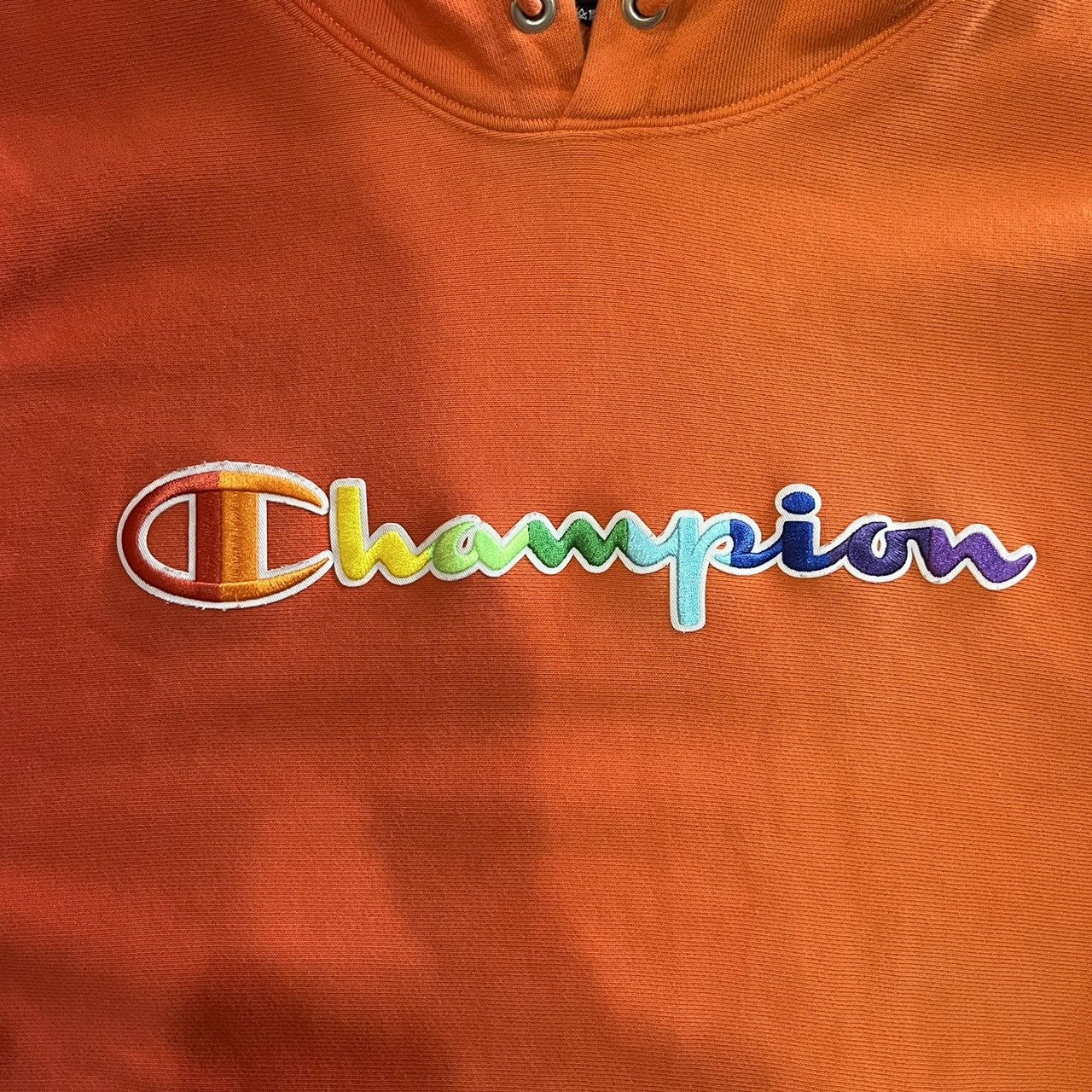 Champion Champion Reverse Weave Pride Hoodie Size US M / EU 48-50 / 2 - 6 Thumbnail