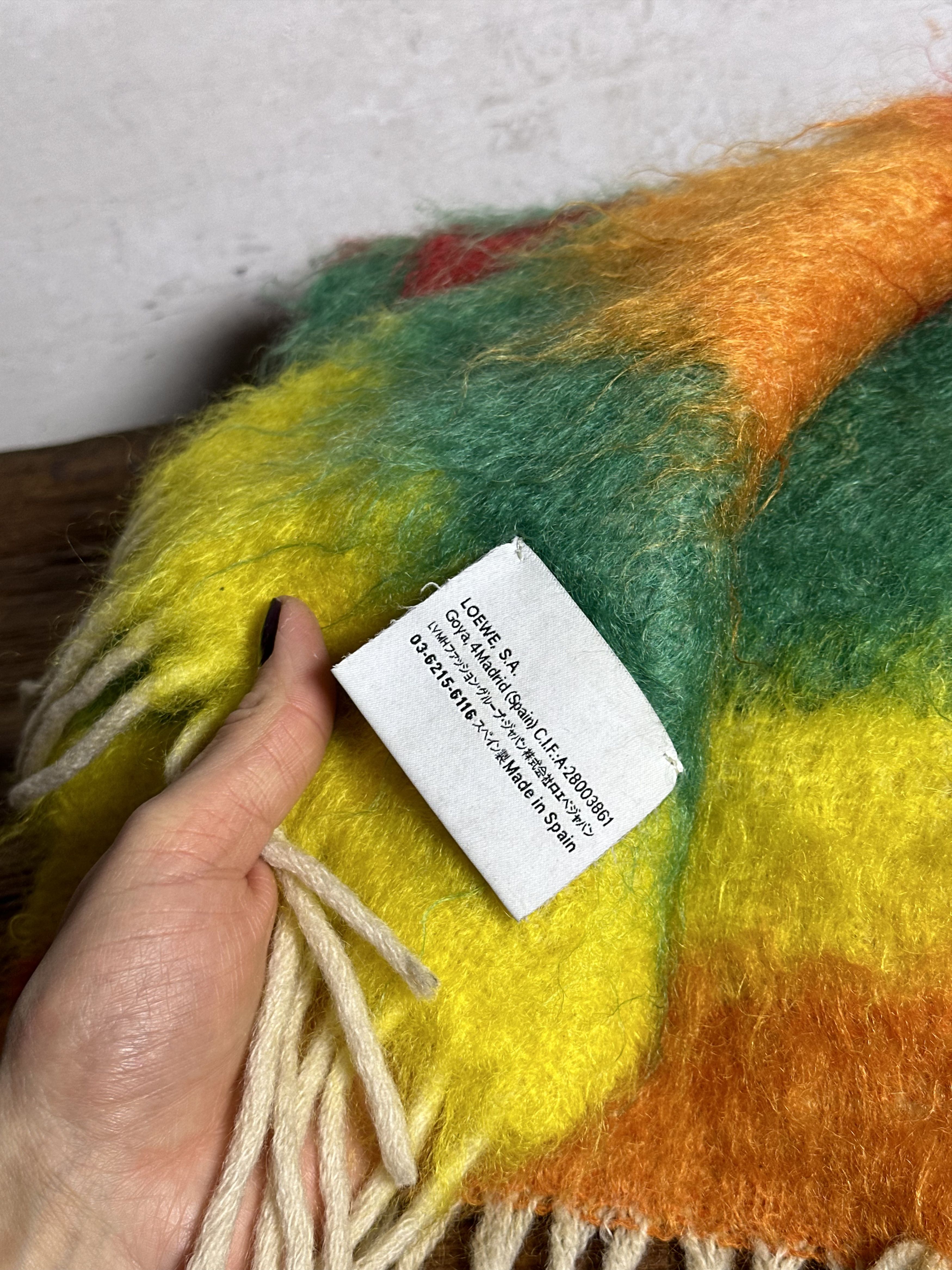 Loewe Loewe Striped Fringed Scarf in Multicolor Mohair Size ONE SIZE - 5 Thumbnail