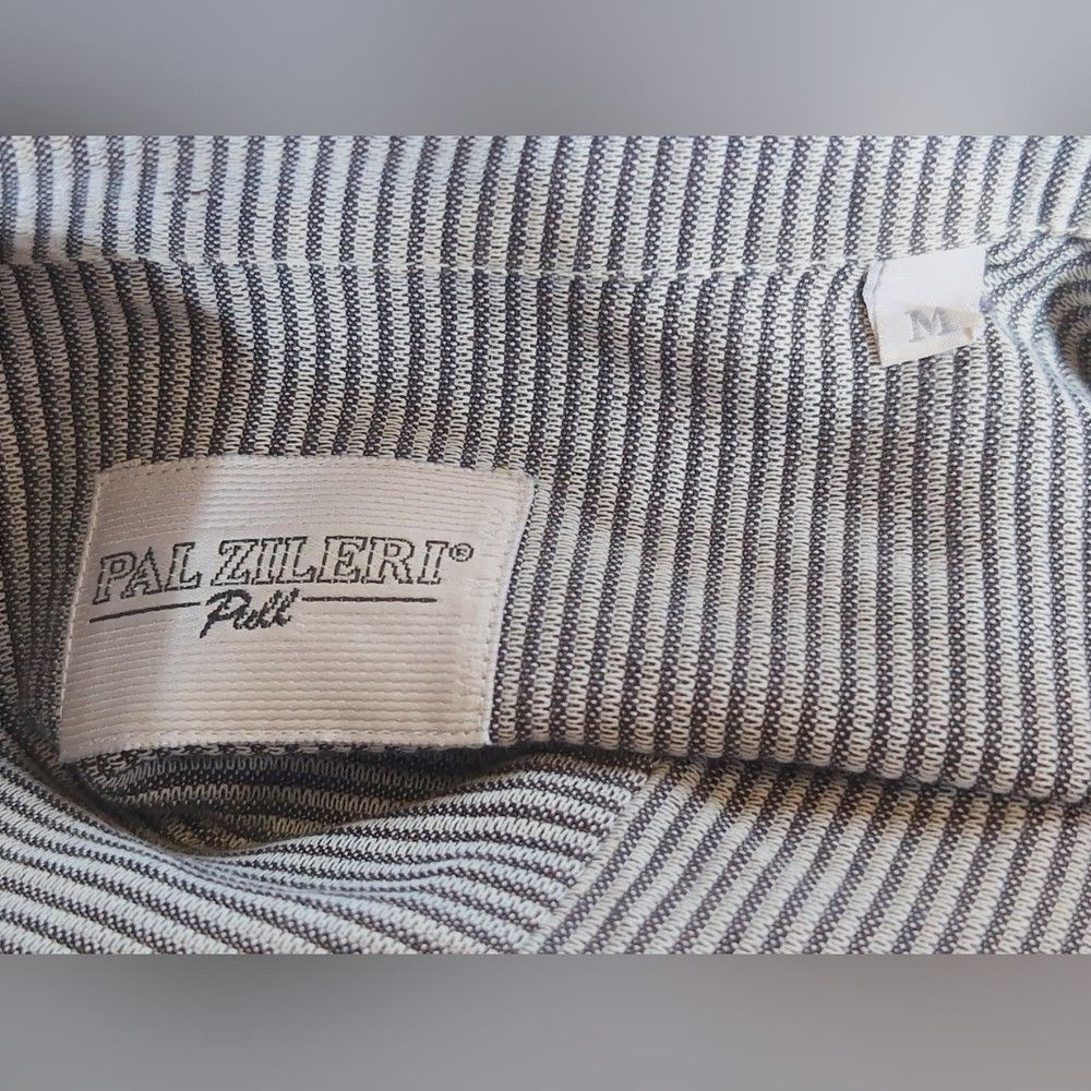 Pal Zileri Pal Zileri Striped Shirt Sz M in Gray and White Size US M / EU 48-50 / 2 - 6 Thumbnail
