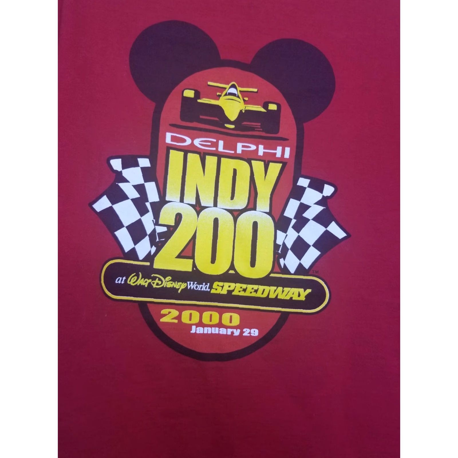 VINTAGE Walt Disney NASCAR USA T-Shirt Mens L Red 2000 Indy Delphi Walt Disney World Racing Crew Neck Short Sleeve Graphic Tee