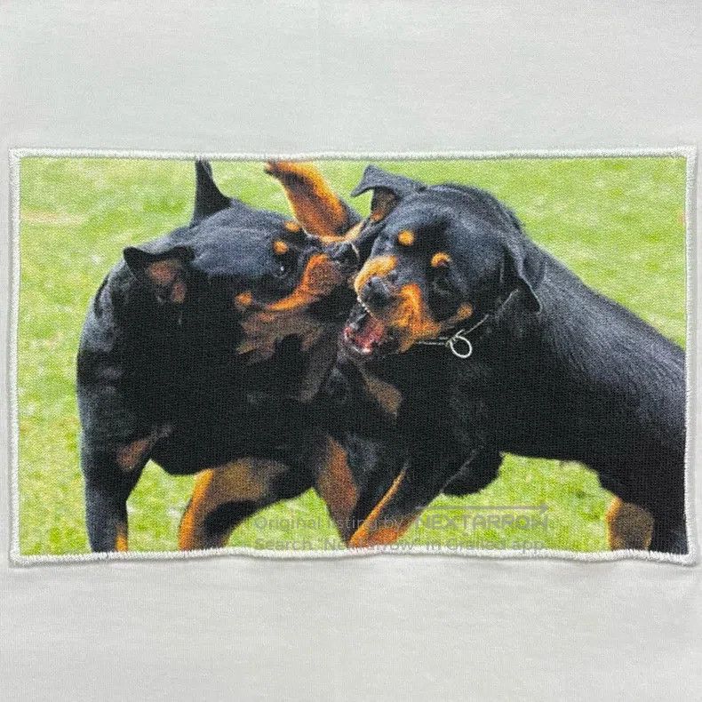 Givenchy Givenchy White Rottweiler series T-shirt Size US S / EU 44-46 / 1 - 5 Thumbnail