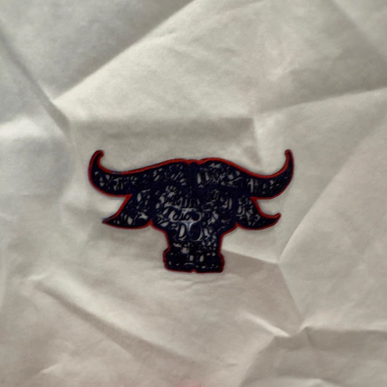 Dior Dior Year of the Ox Limited Edition Short Sleeve Shirt K28 Size US XS / EU 42 / 0 - 3 Thumbnail