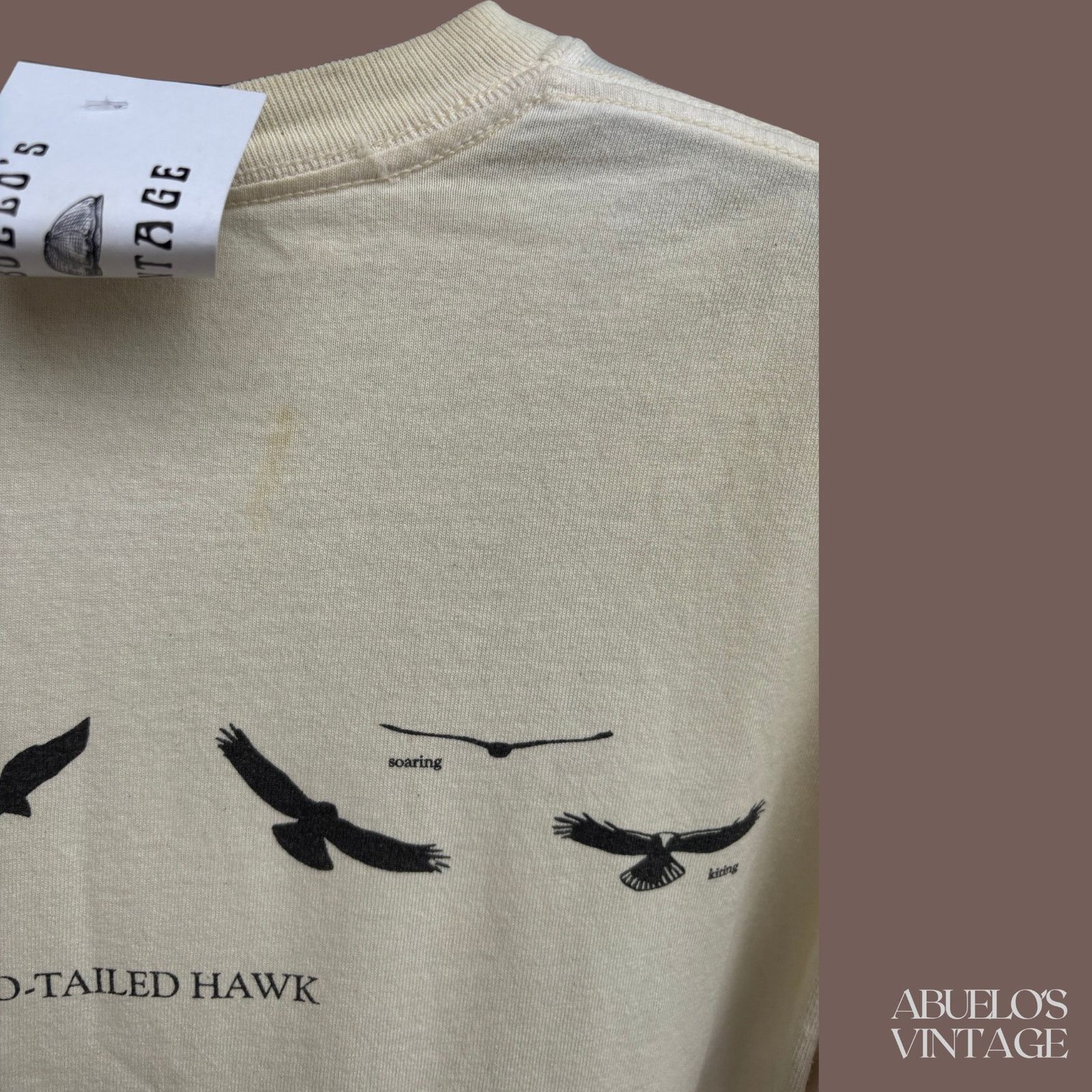 Gildan VTG Red-Tailed Hawk Tee | Sibley Wildlife Graphic Size US M / EU 48-50 / 2 - 6 Thumbnail