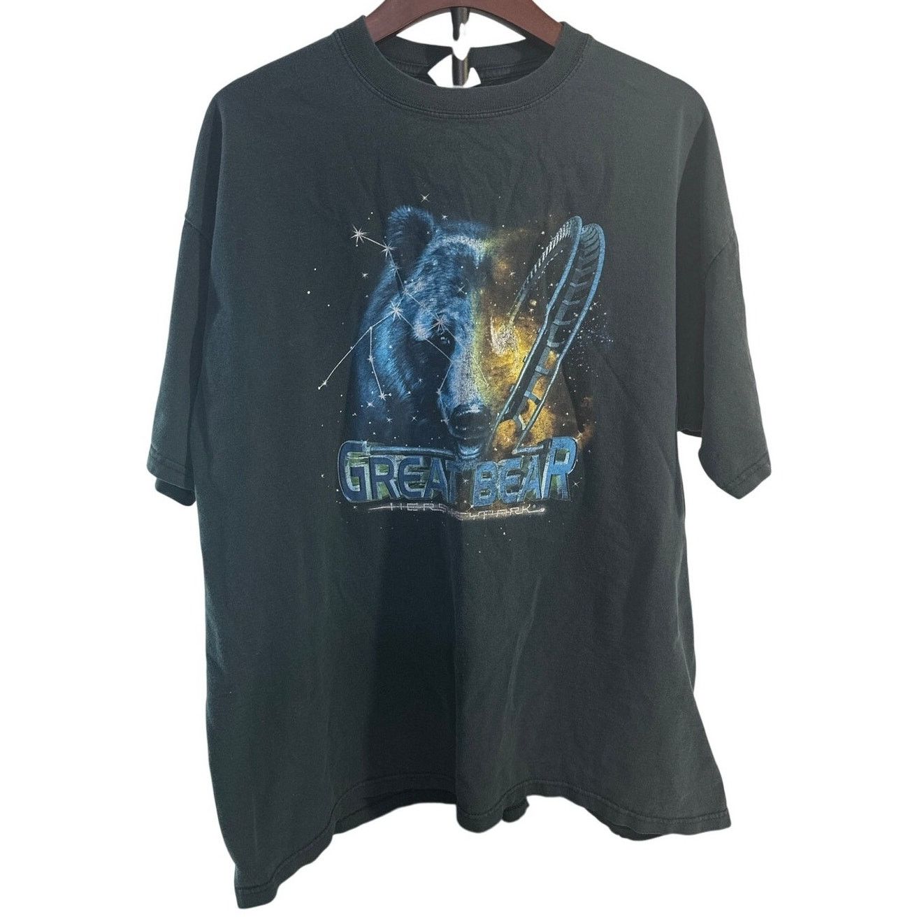 Anvil Great Bear Roller Coaster Hershey Vintage Anvil T-shirt 2X Size US XXL / EU 58 / 5 - 1 Thumbnail