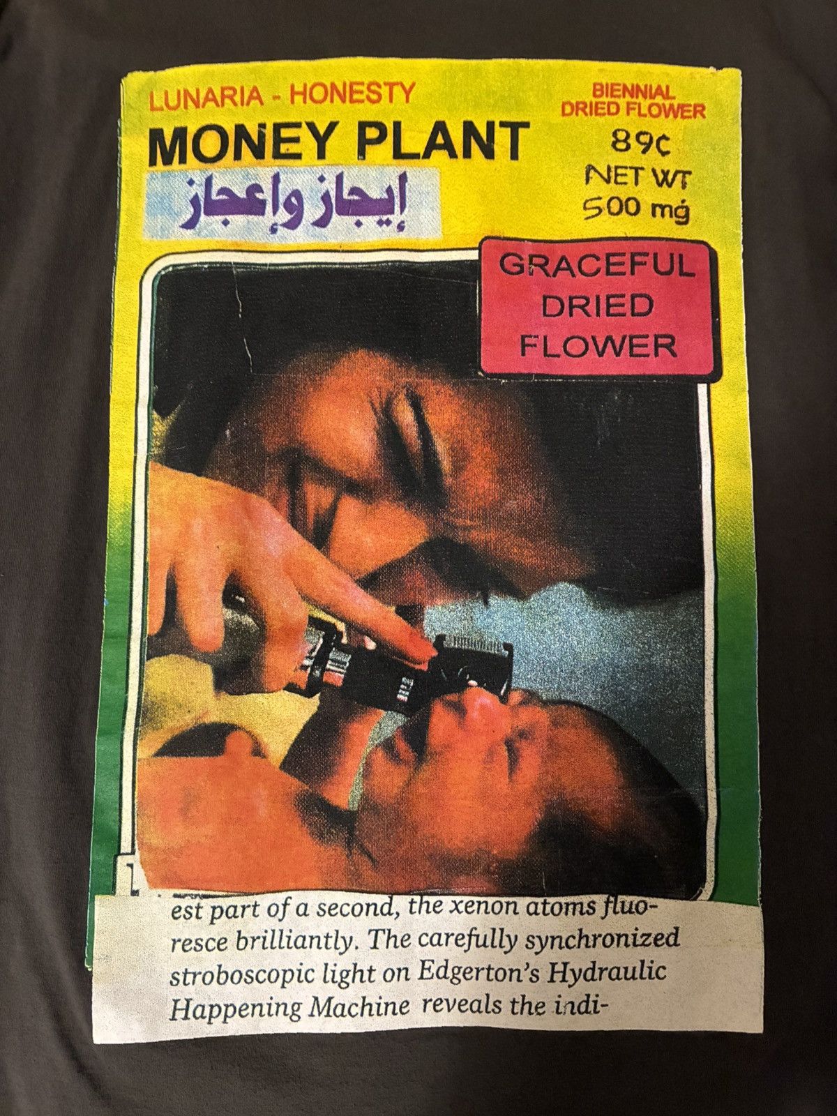 Vintage Vintage Flaming Lips “Now in summer” t-shirt Size US XL / EU 56 / 4 - 6 Thumbnail