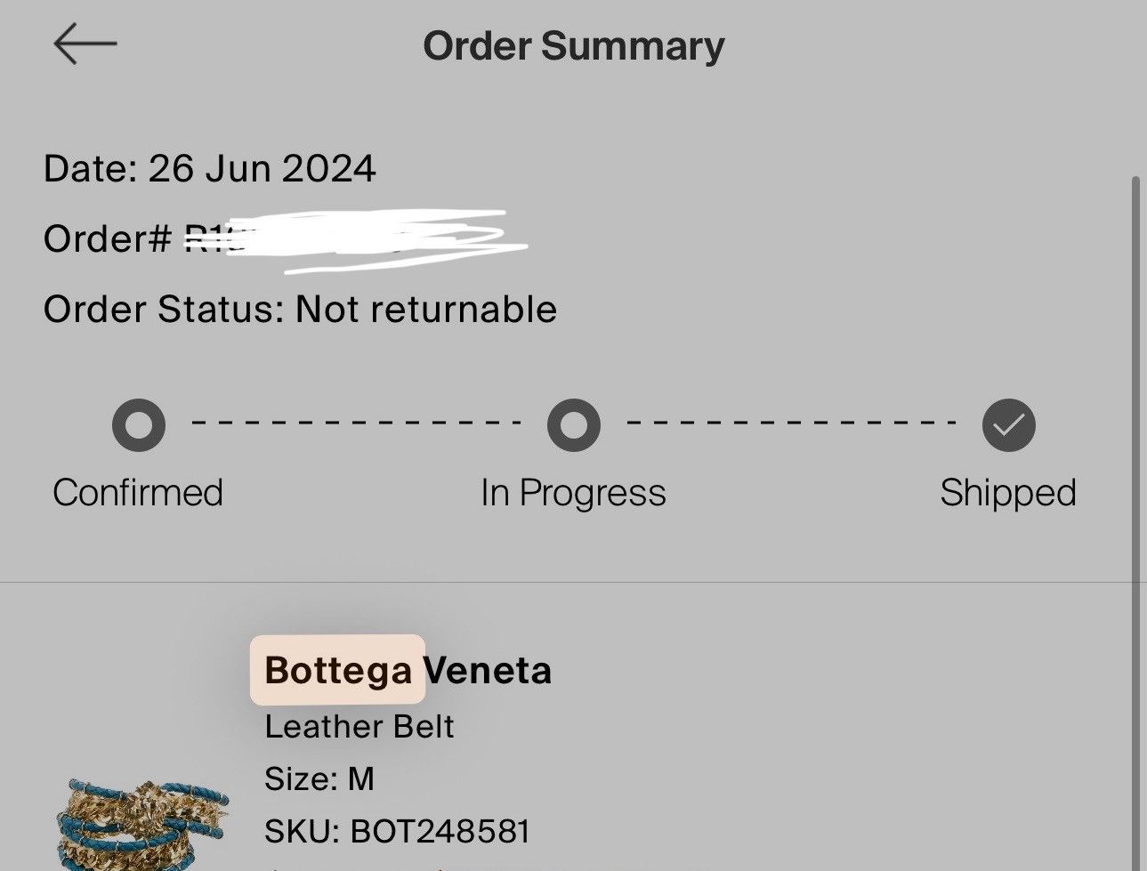 Bottega Veneta Bottega Veneta SUPER ARCHIVAL Gold Leather Lion Head Belt Size ONE SIZE - 3 Thumbnail