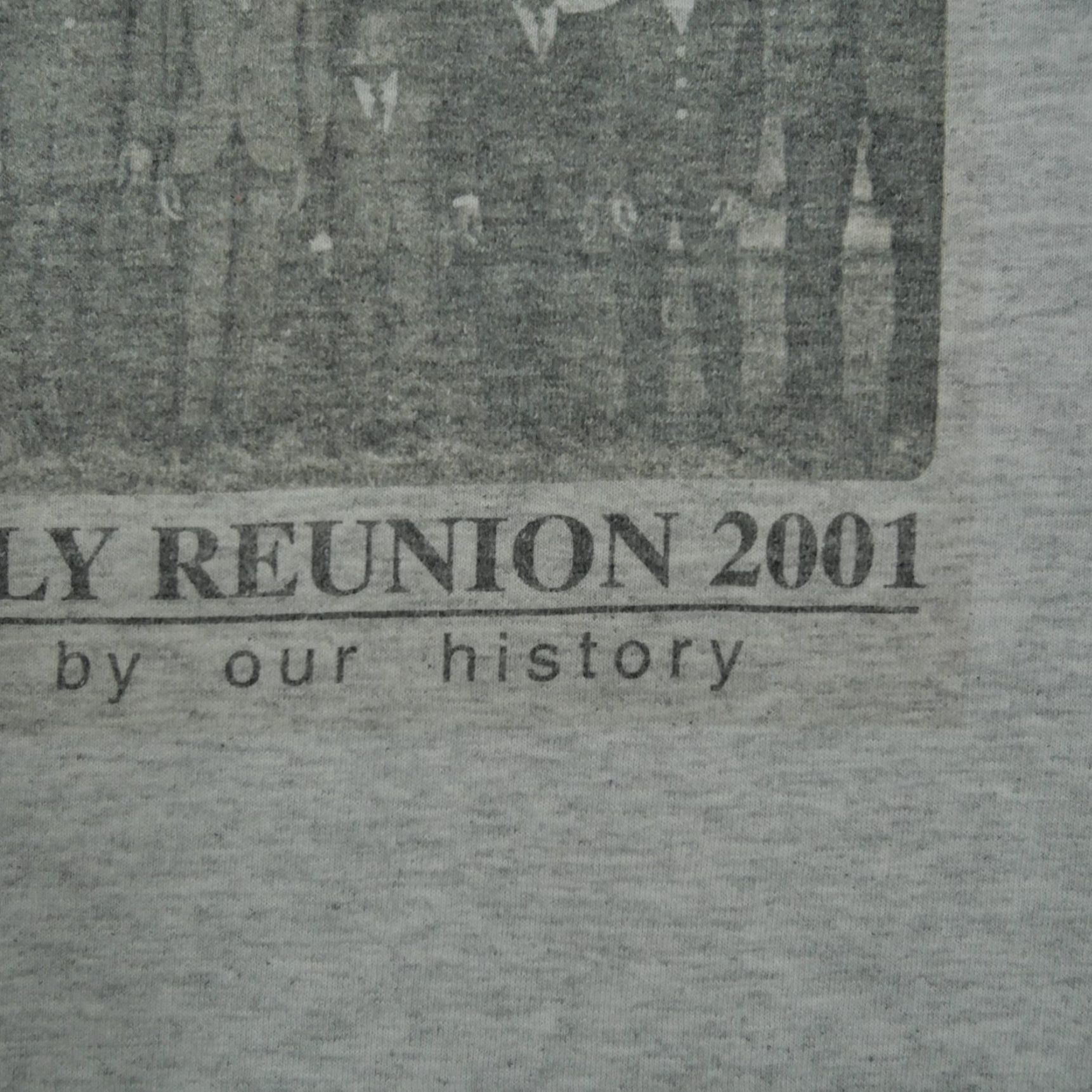 Vintage VINTAGE Family Reunion T Shirt Adult Large Gray History United States 2001 Y2K Men L Cotton Short Sleeve Crew Neck Graphic 5/10 7/10 Size US L / EU 52-54 / 3 - 3 Thumbnail
