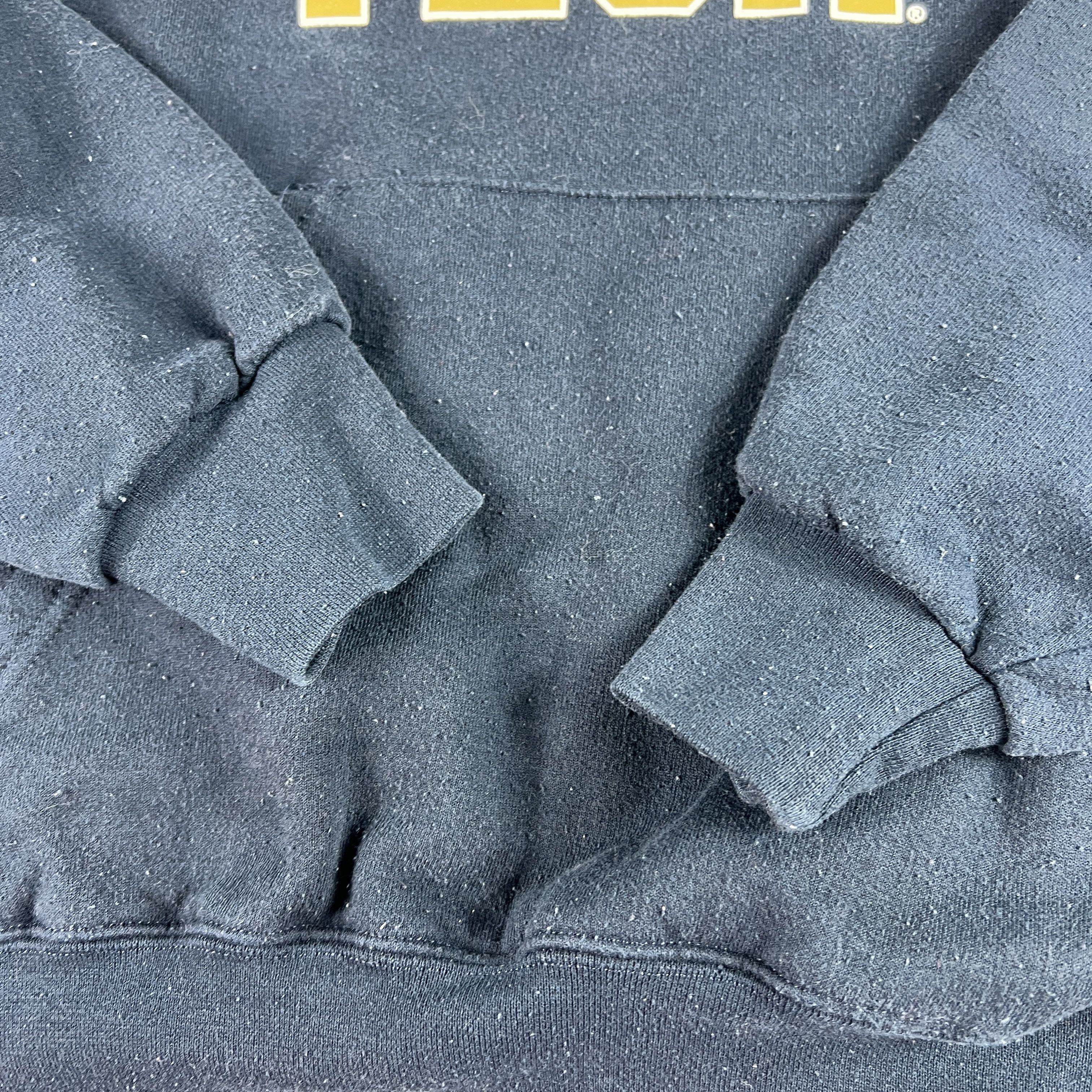 Champion × NCAA Champion Georgia Tech Yellow Jackets Sweatshirt Faded Hoodie Size US M / EU 48-50 / 2 - 7 Thumbnail