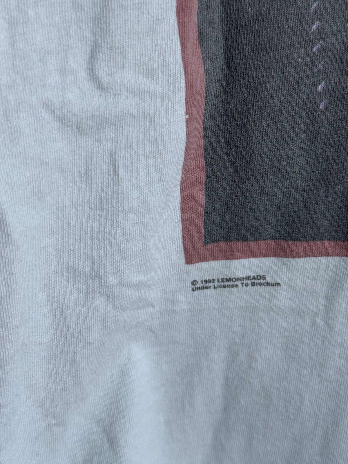 Band Tees Vintage 1992 The Lemonheads It’s A Shame About Ray Tour rare Size US XL / EU 56 / 4 - 4 Thumbnail