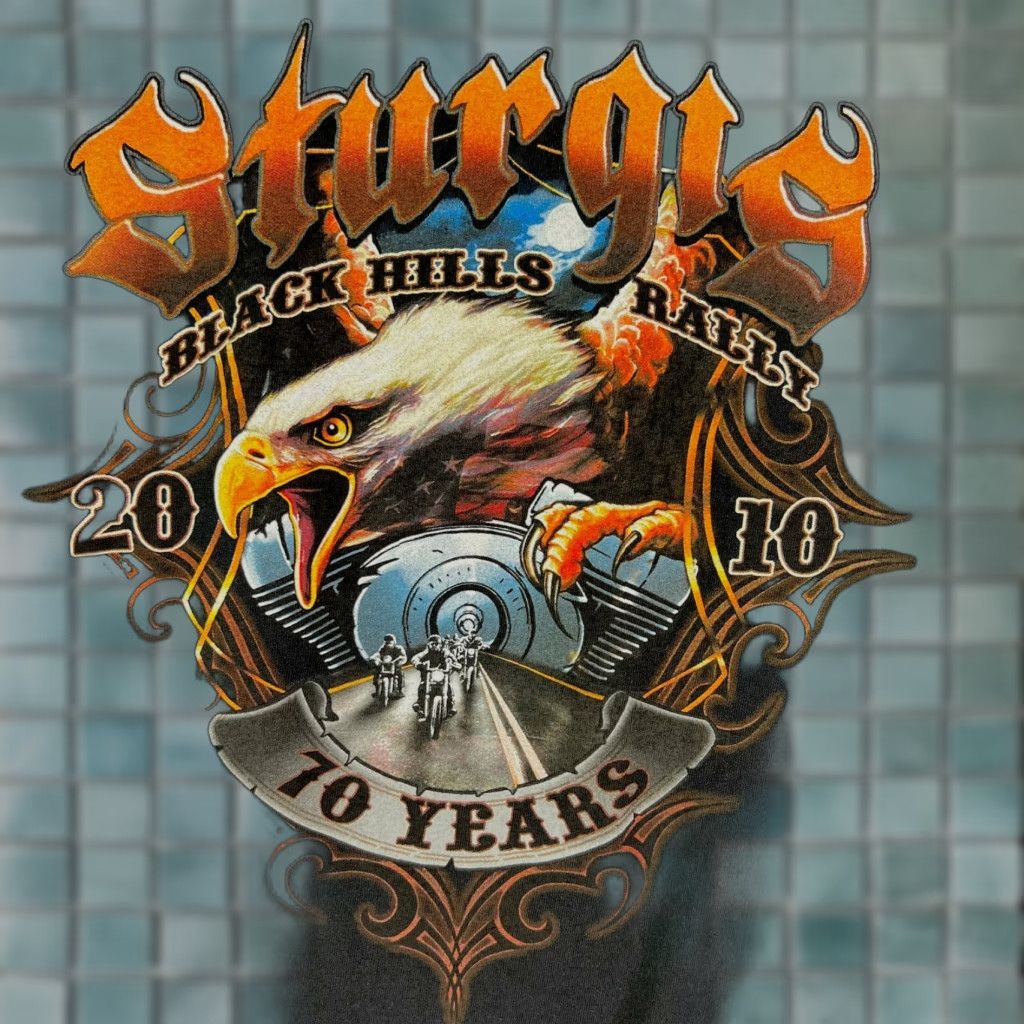 Anvil Anvil Mens Black Graphic T Shirt XL Sturgis Black Hills Rally 70 Years 2010 Size US XL / EU 56 / 4 - 1 Thumbnail