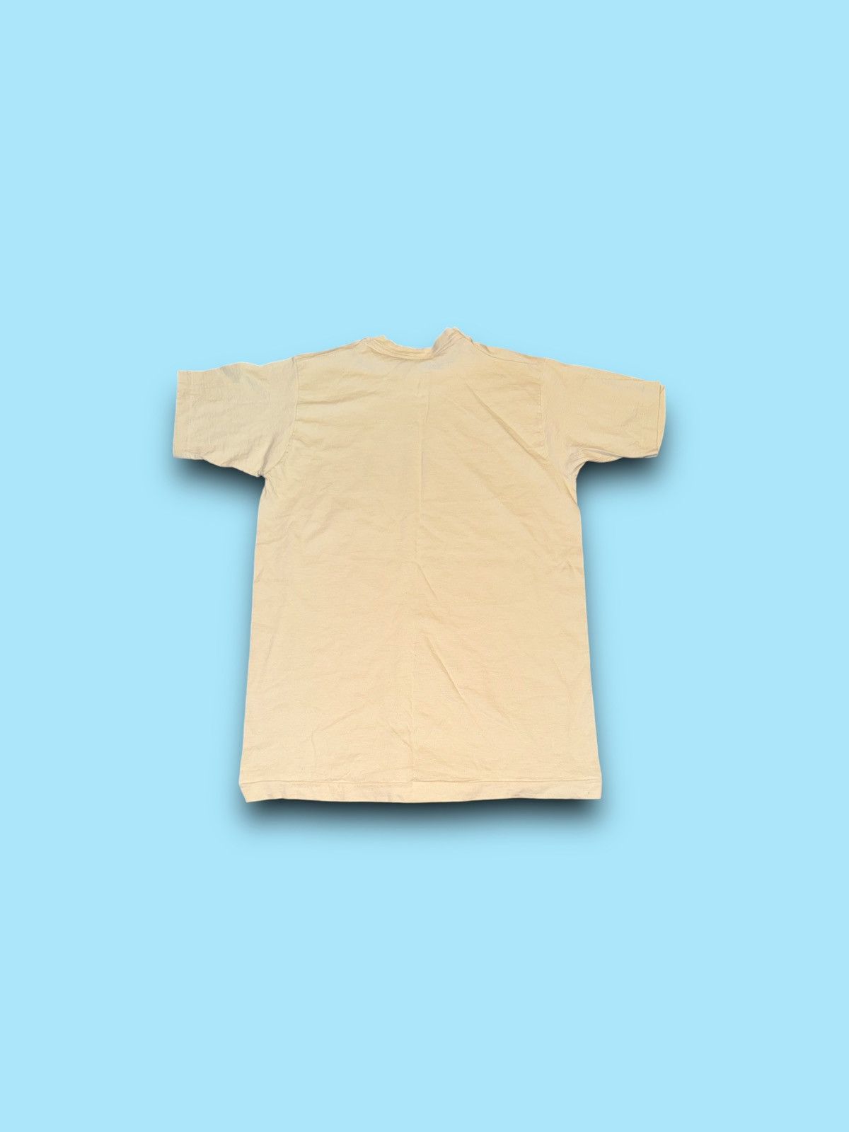 Fruit Of The Loom Vintage greater St. Louis area sports day single stitch tee Size US M / EU 48-50 / 2 - 3 Thumbnail