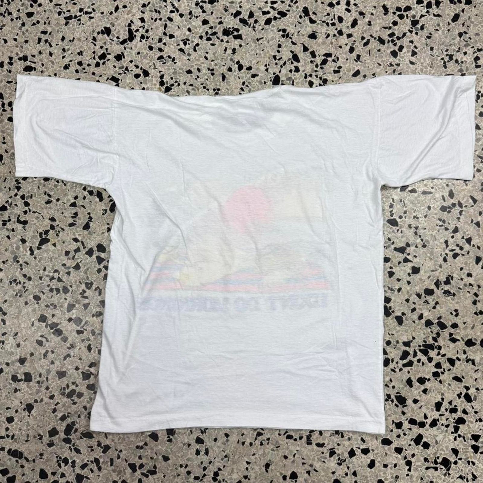 Hanes × Vintage VINTAGE 90S SINGLE STITCH DUCK DON’T DO MORNINGS BAHAMAS TEE Size US XL / EU 56 / 4 - 6 Thumbnail