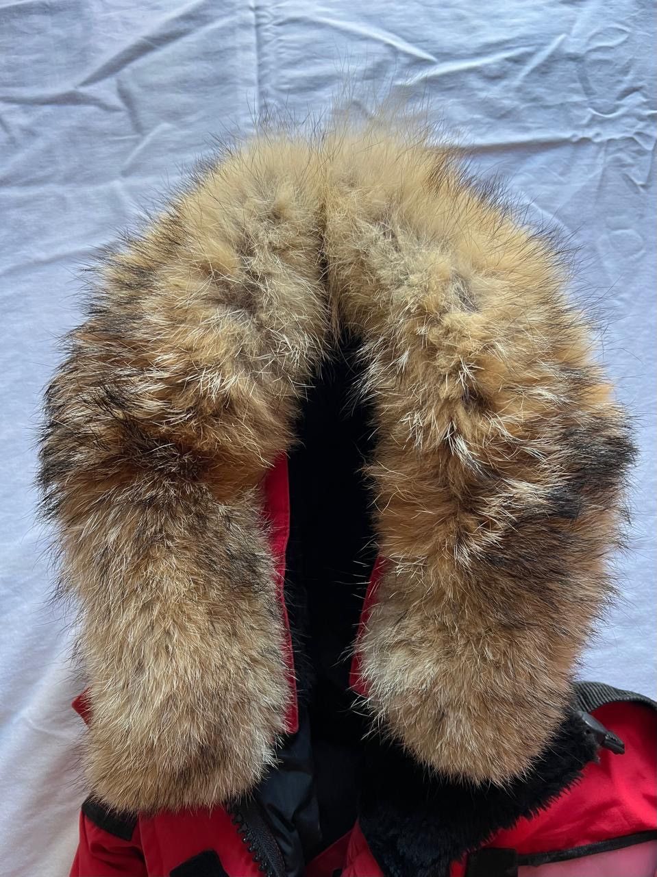 Canada Goose × Vintage Canada goose women’s resolute parka Size XXS / US 00 / IT 34 - 11 Thumbnail