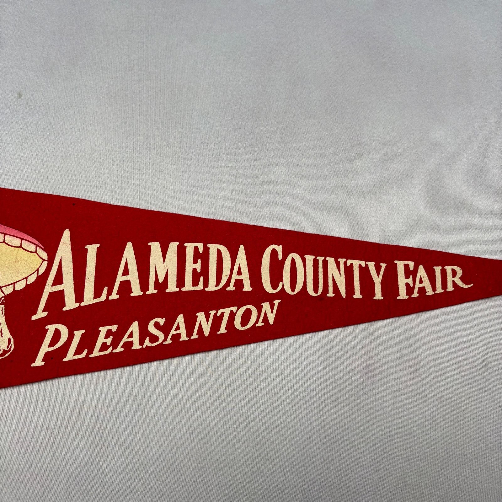 Vintage Vintage Alameda County Fair Pleasanton Felt Pennant 1950s Size ONE SIZE - 3 Thumbnail