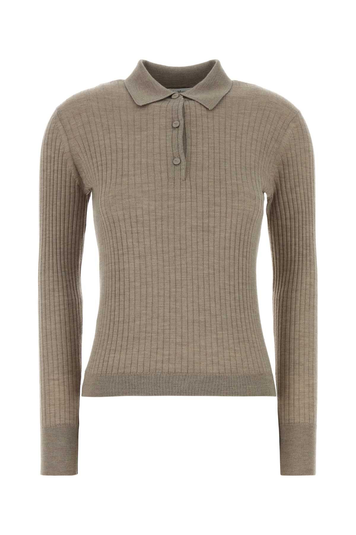 Max Mara Dove Grey Cashmere Blend Gitano Polo Shirt Size XL / US 12-14 / IT 48-50 - 1 Thumbnail