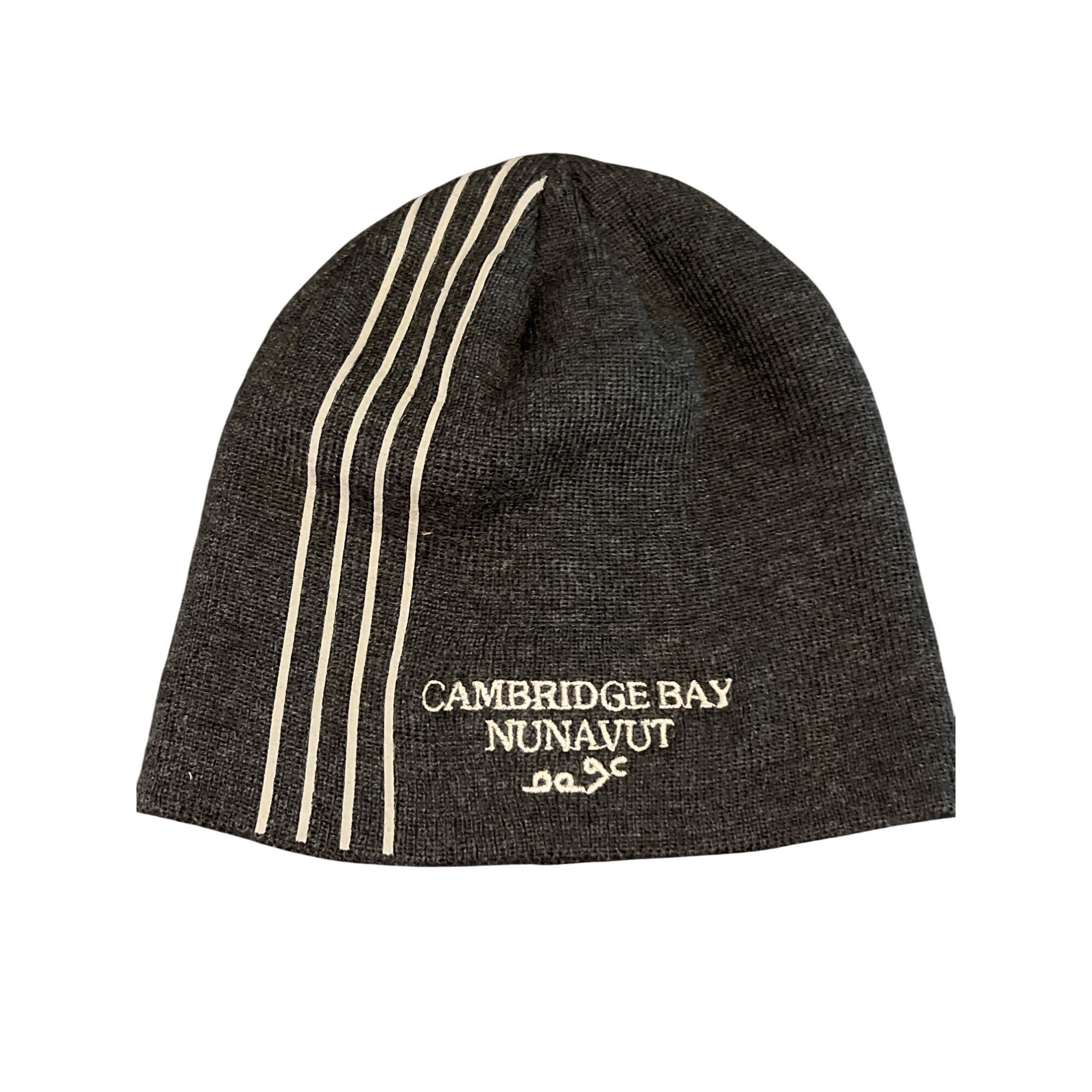 Other Pedigree Toboggan Beanie Cambridge Bay Nunavut Embroidery Gr Size ONE SIZE - 1 Thumbnail