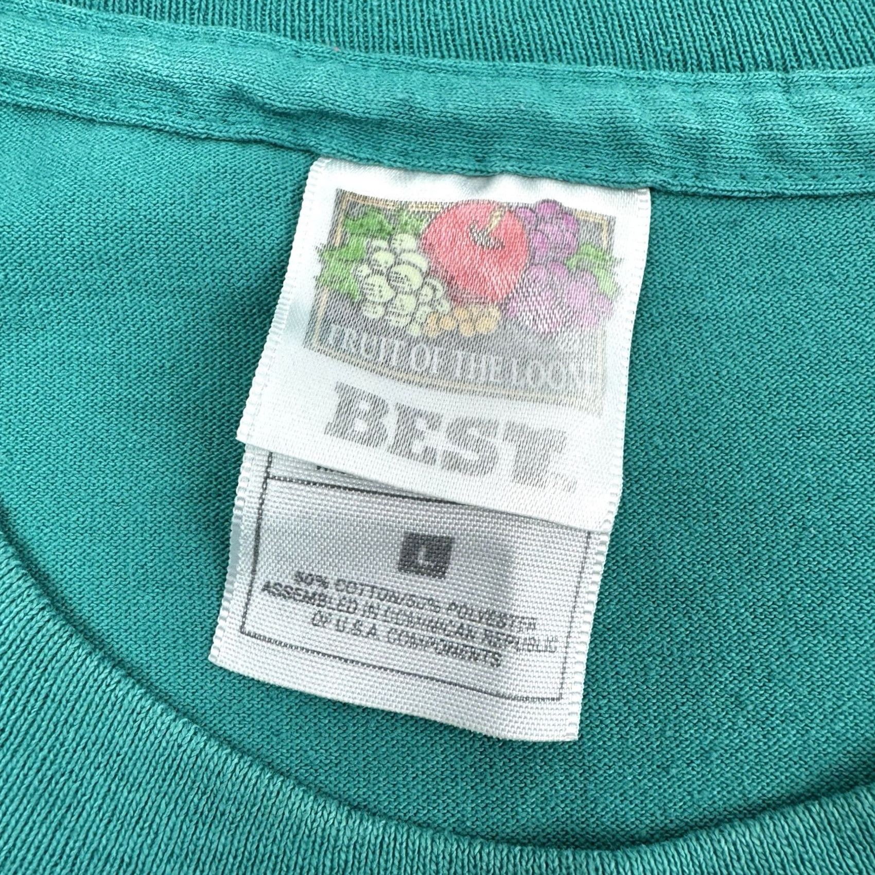 Fruit Of The Loom VINTAGE DeBary Hall Florida T Shirt Men L Blue Cotton Polyester 90s History Nature Home Shirt Mens Size US L / EU 52-54 / 3 - 3 Thumbnail
