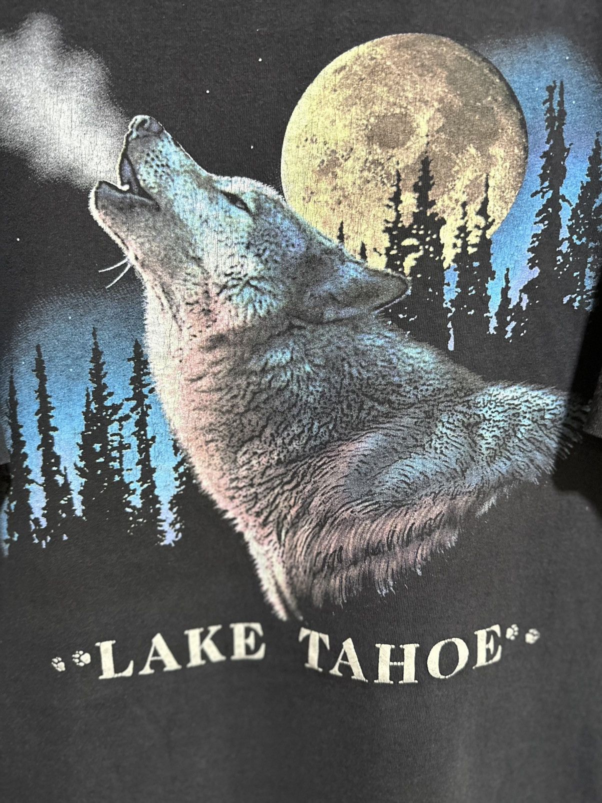 Habitat × Vintage Vintage Prairie Mountain Lake Tahoe Faded Tee Size US XL / EU 56 / 4 - 2 Thumbnail