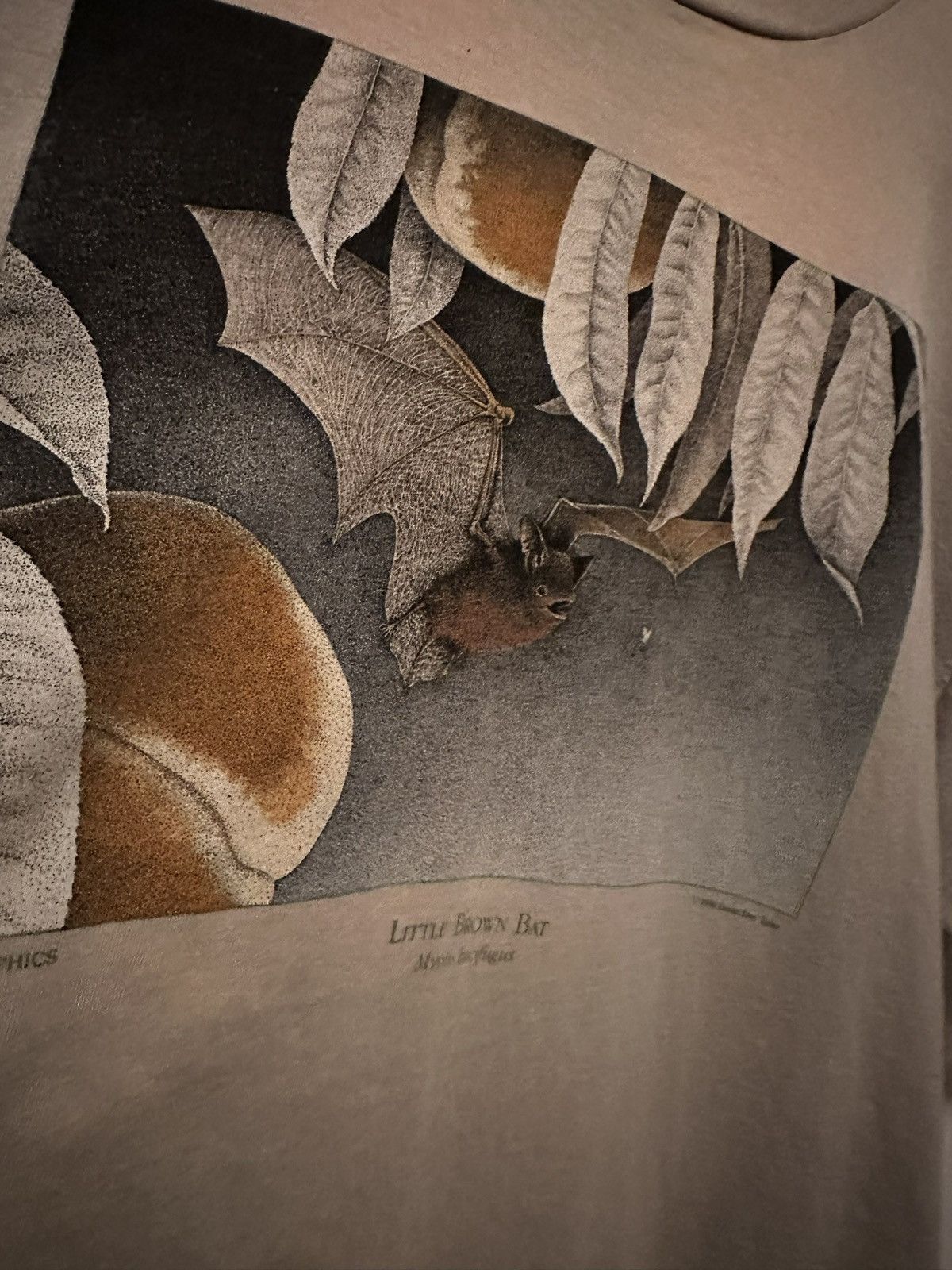Other Vintage Liberty Graphics “Little Brown Bat” Nature Tee 1998 Size US XL / EU 56 / 4 - 4 Thumbnail