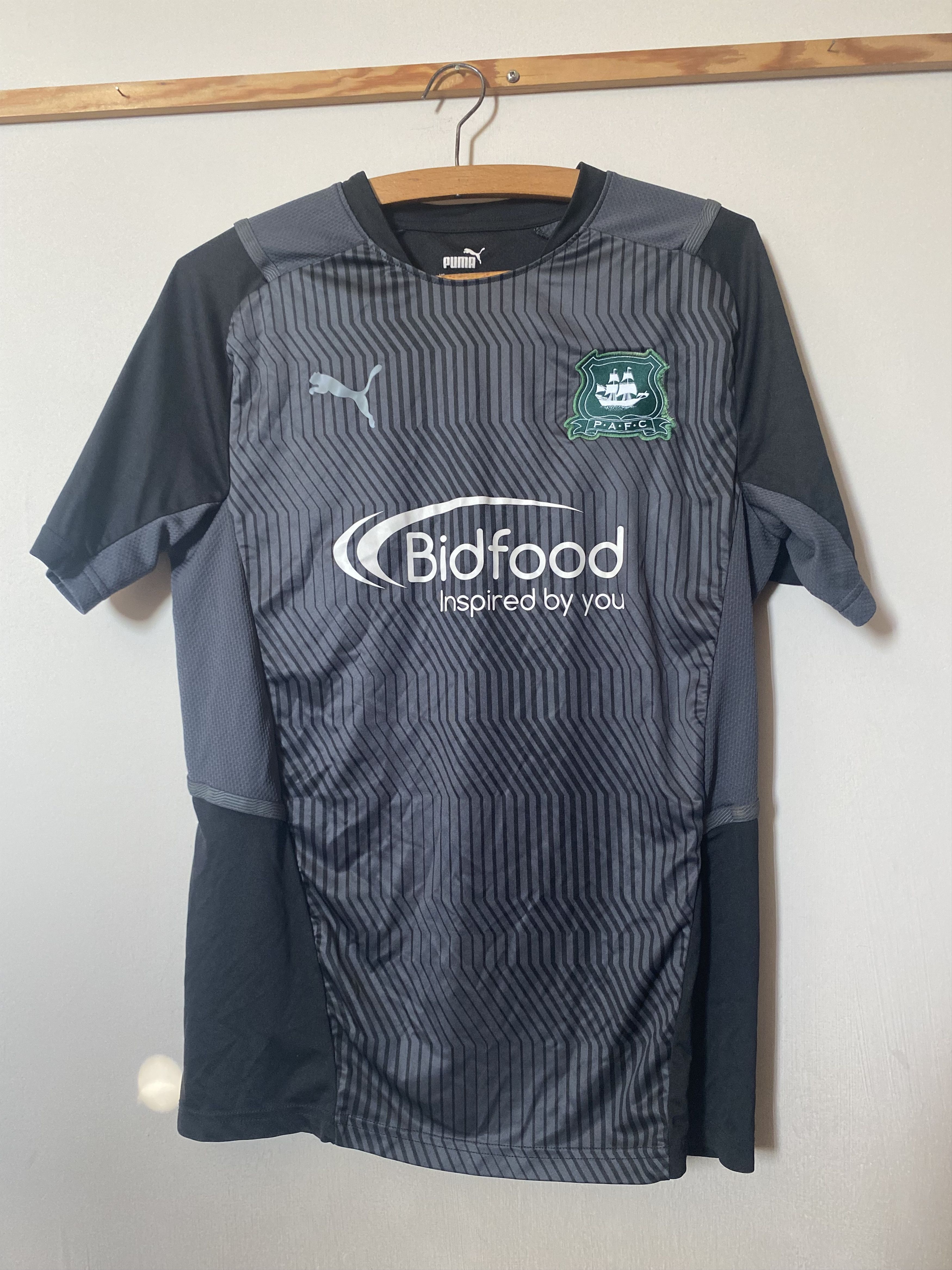 Puma PLYMOUTH ARGYLE training Jersey 2020 - 2021 Puma - M UNIQUE Size US M / EU 48-50 / 2 - 1 Thumbnail