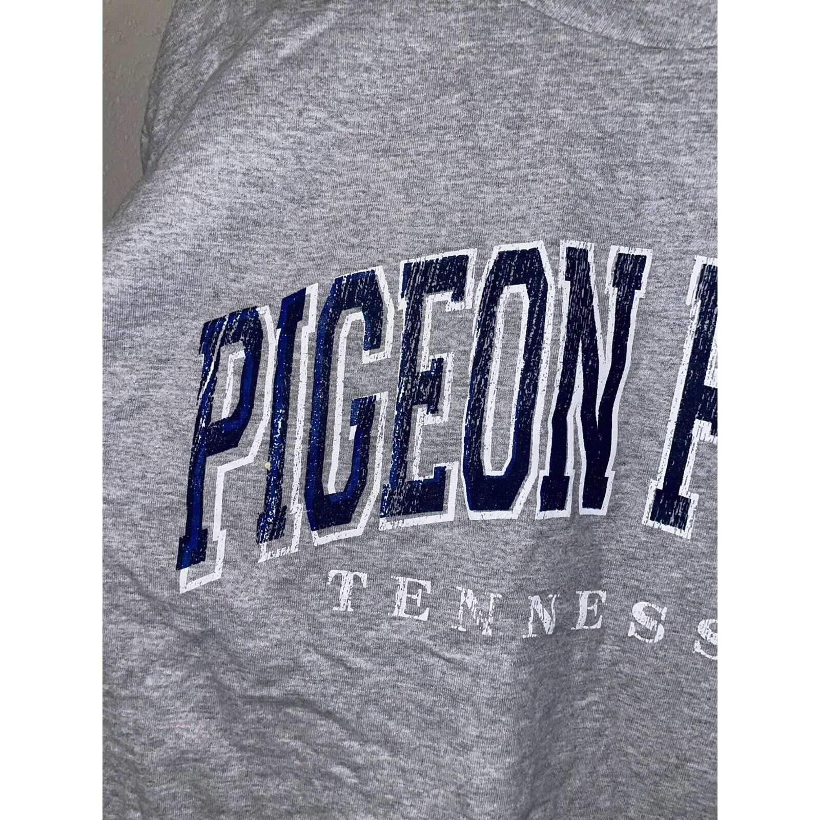 Jerzees Vintage Pigeon Forge Shirt TN Tennessee Gray Tee VTG 90s L Size US L / EU 52-54 / 3 - 2 Thumbnail