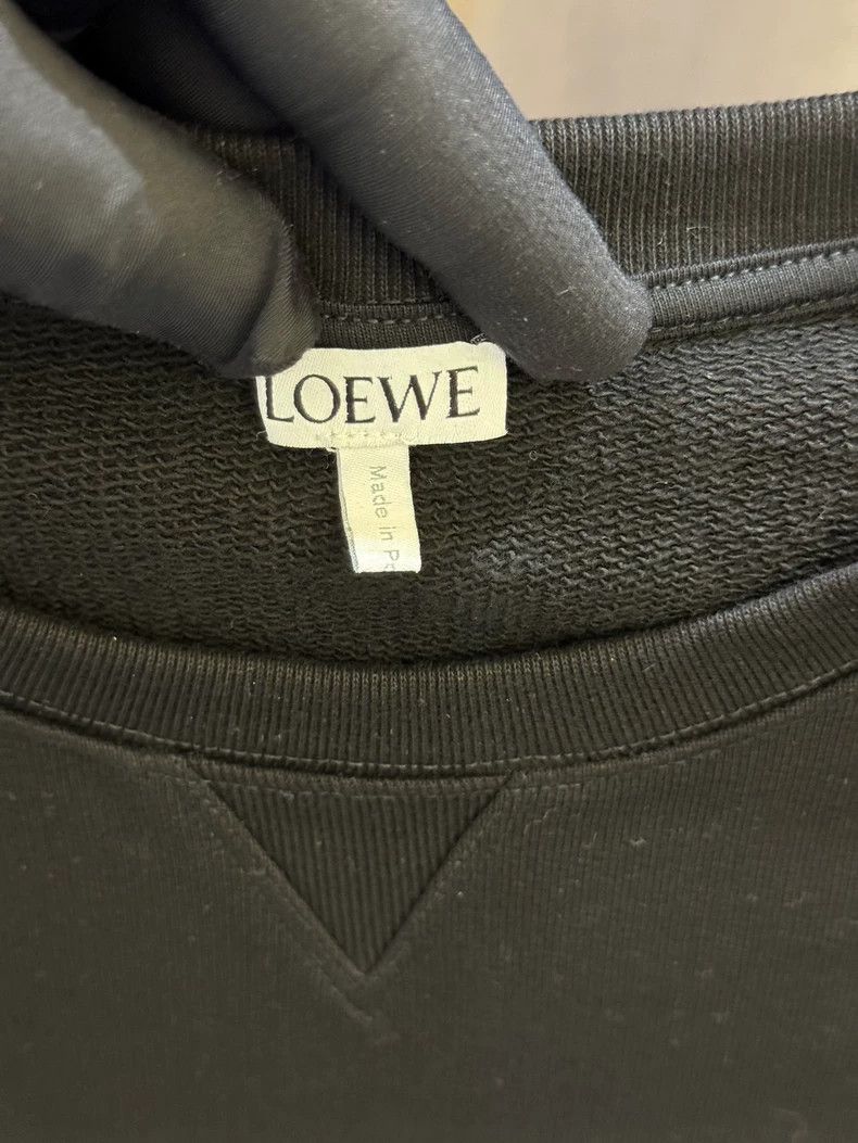 Loewe LOEWE Embroidered round neck hoodie Size US M / EU 48-50 / 2 - 4 Thumbnail