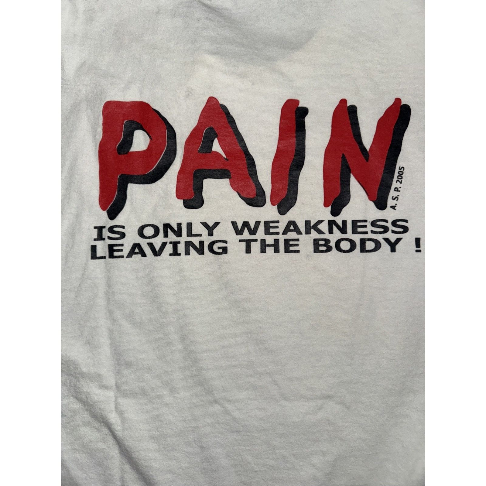 Gildan Vintage 2012 Wrestling Championships T-Shirt White L 21x28 Size US L / EU 52-54 / 3 - 6 Thumbnail