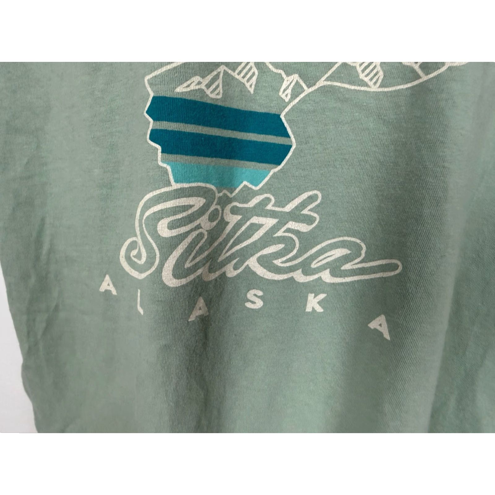 Comfort Colors Sitka Alaska Shirt Men XL Green Cotton T-Shirt Crew Neck Short Sleeve Graphic Print Bird Nature Outdoor Decade 2000s (If applicable) Size US XL / EU 56 / 4 - 5 Thumbnail