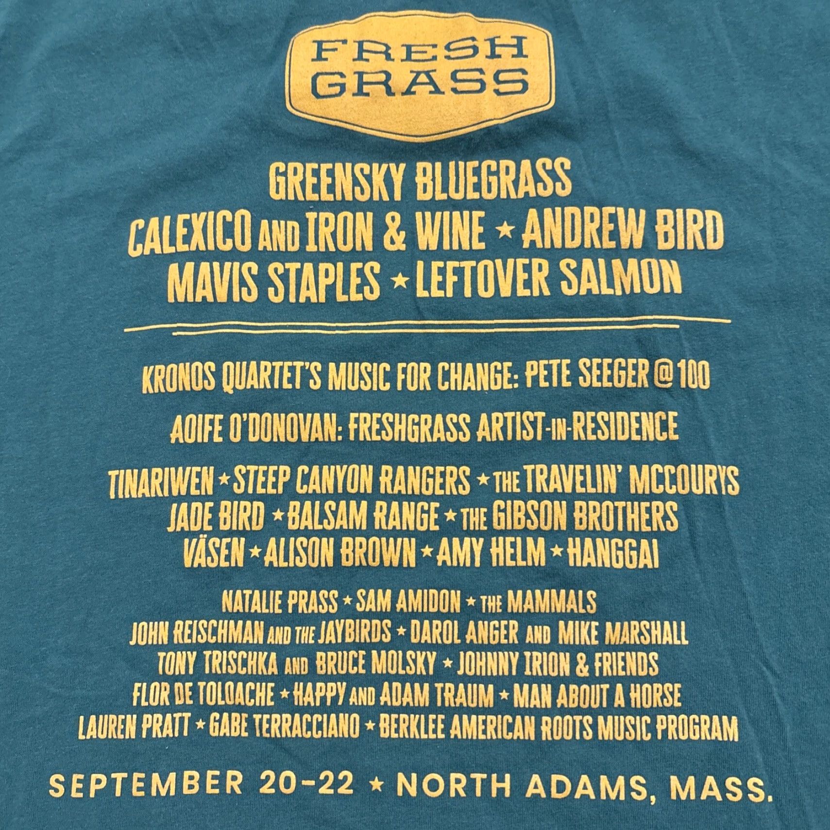 Vintage Fresh Grass Bluegrass Festival T-Shirt Green Size XL Mens - Bella + Canvas Music Event Size US XL / EU 56 / 4 - 5 Thumbnail