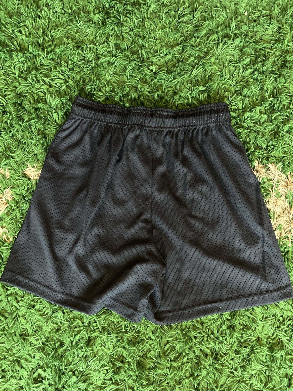 Eric Emanuel Eric Emanuel Nuggets Championship Shorts Size US 32 / EU 48 - 2 Thumbnail