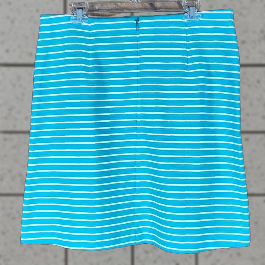 Talbots Talbots Skirt Womens Size 10 Striped Textured A-Line Knee Length Zip Navy Turquoise Blue Size 32" / US 10 / IT 46 - 1 Thumbnail